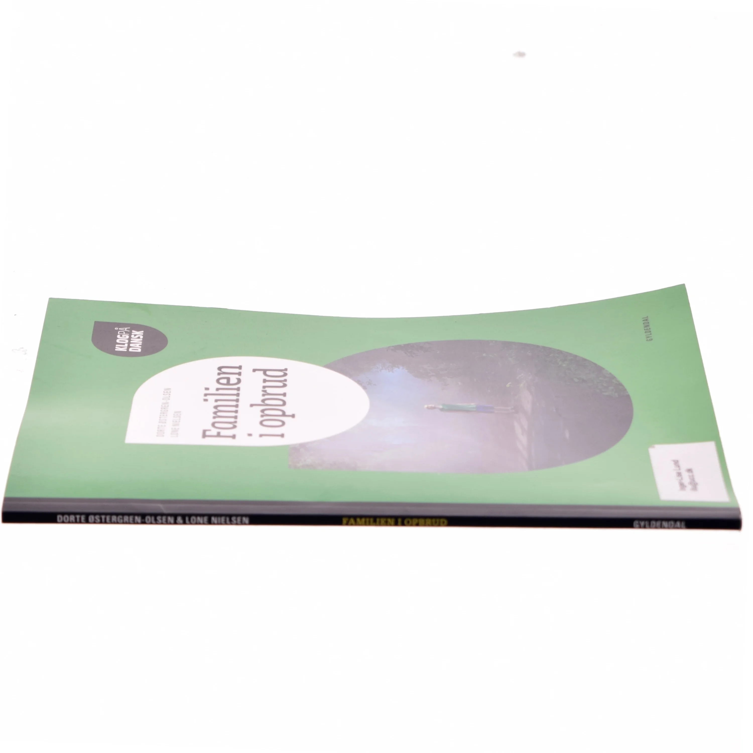 Klog på dansk, Familien i opbrud af Dorte Østergren-Olsen (Bog)