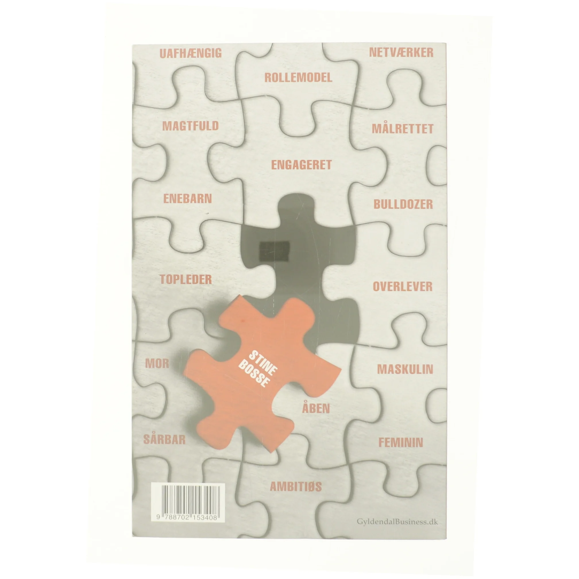 Stine Bosse af Jens Chr. Hansen (f. 1952), Christian Nørr (Bog)