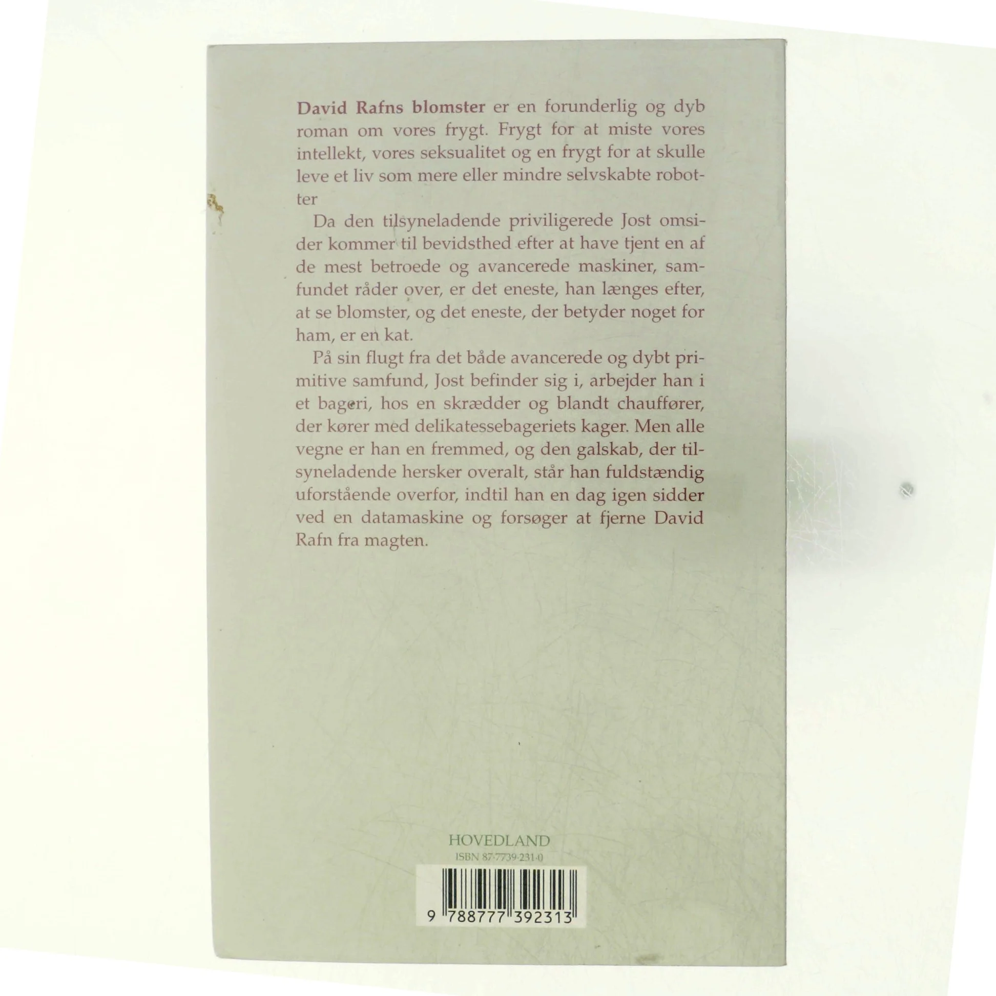 David Rafns blomster : roman af Anette Steinbrüchel (Bog)