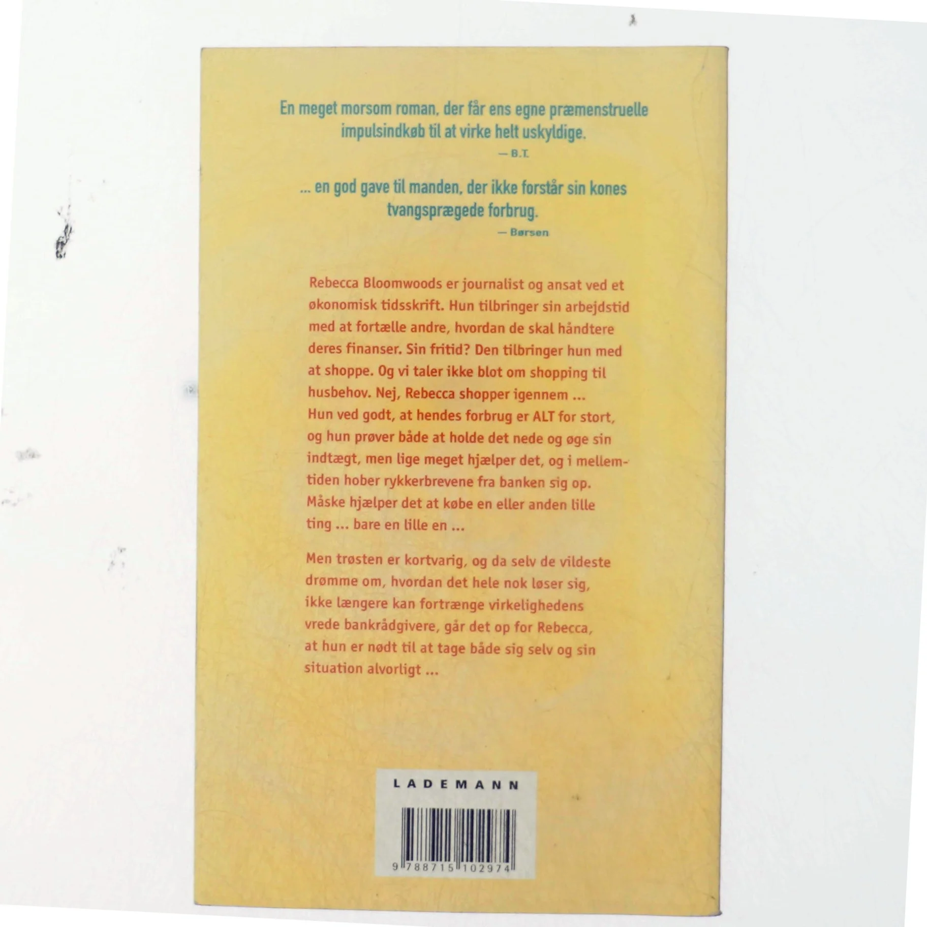 En shopaholics hemmelige drømmeverden af Sophie Kinsella (Bog)