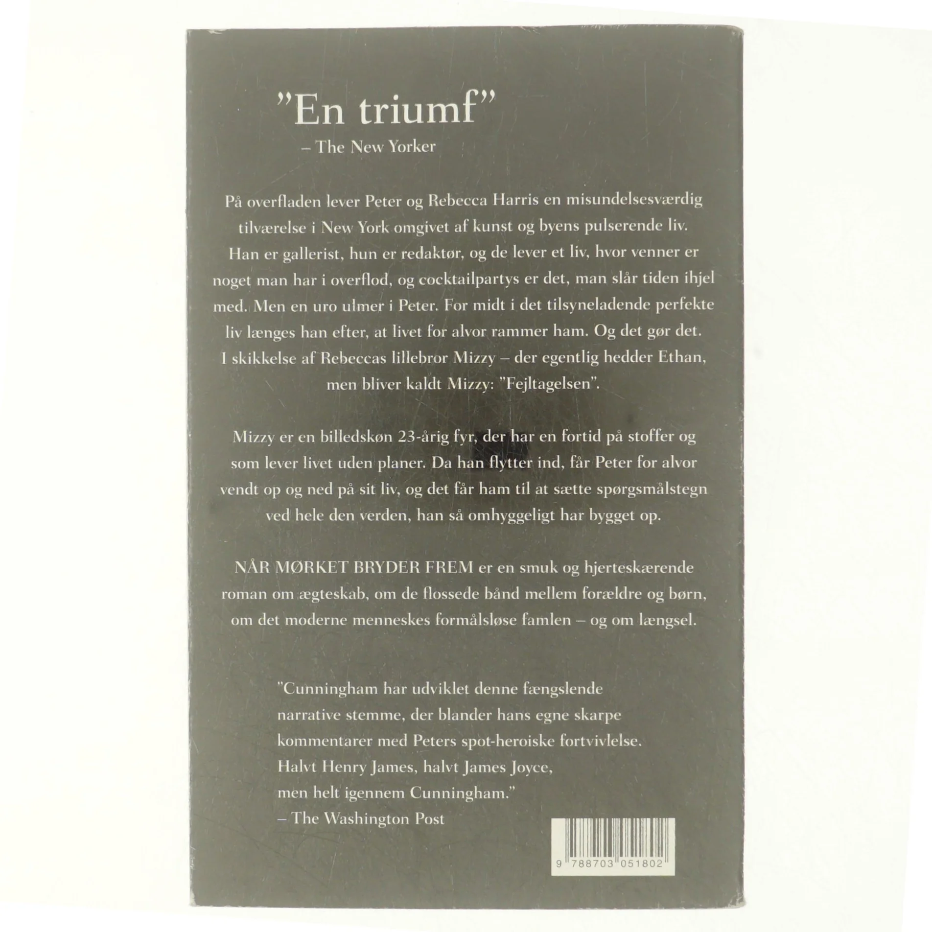 Når mørket bryder frem af Michael Cunningham (Bog)