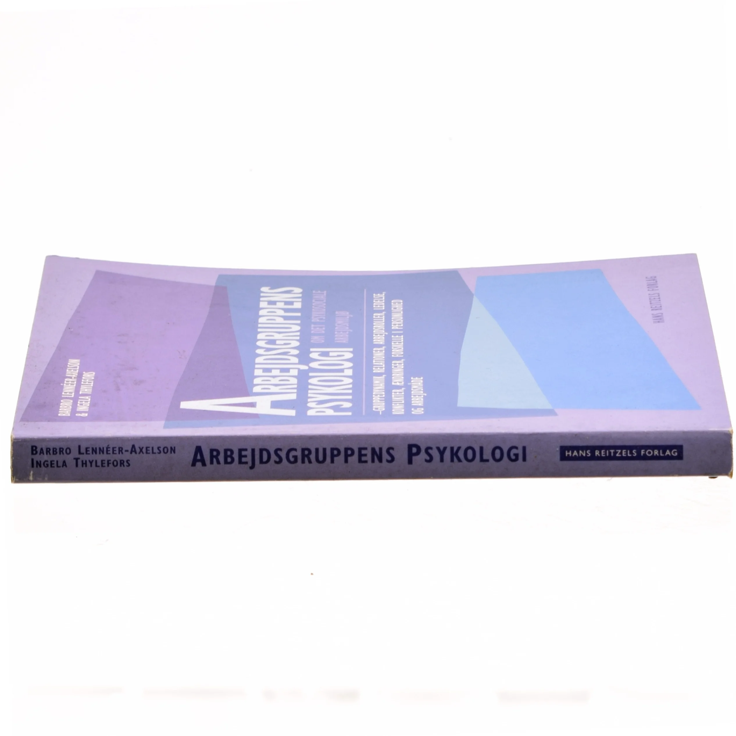 Arbejdsgruppens psykologi (Bog)