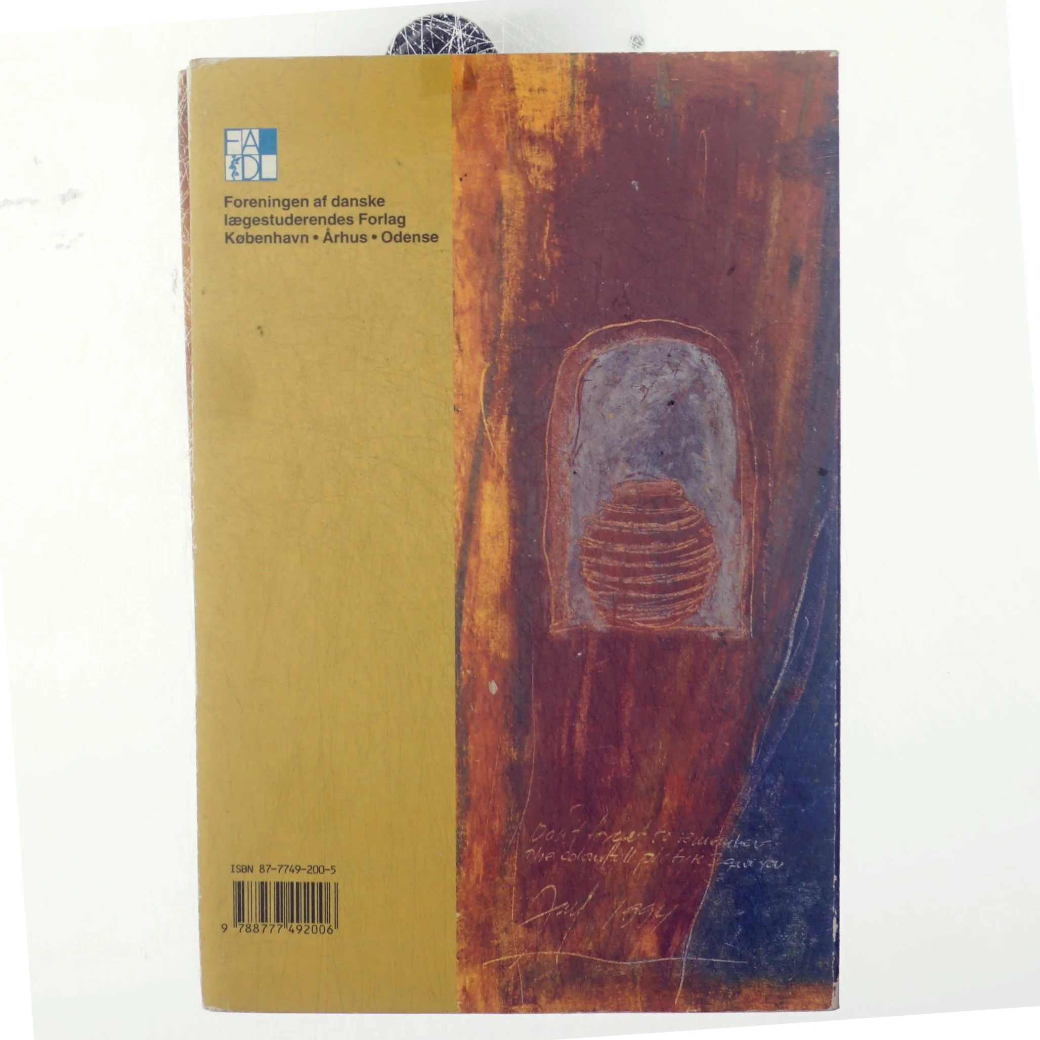 Ergoterapi og hjerneskade (Bog)