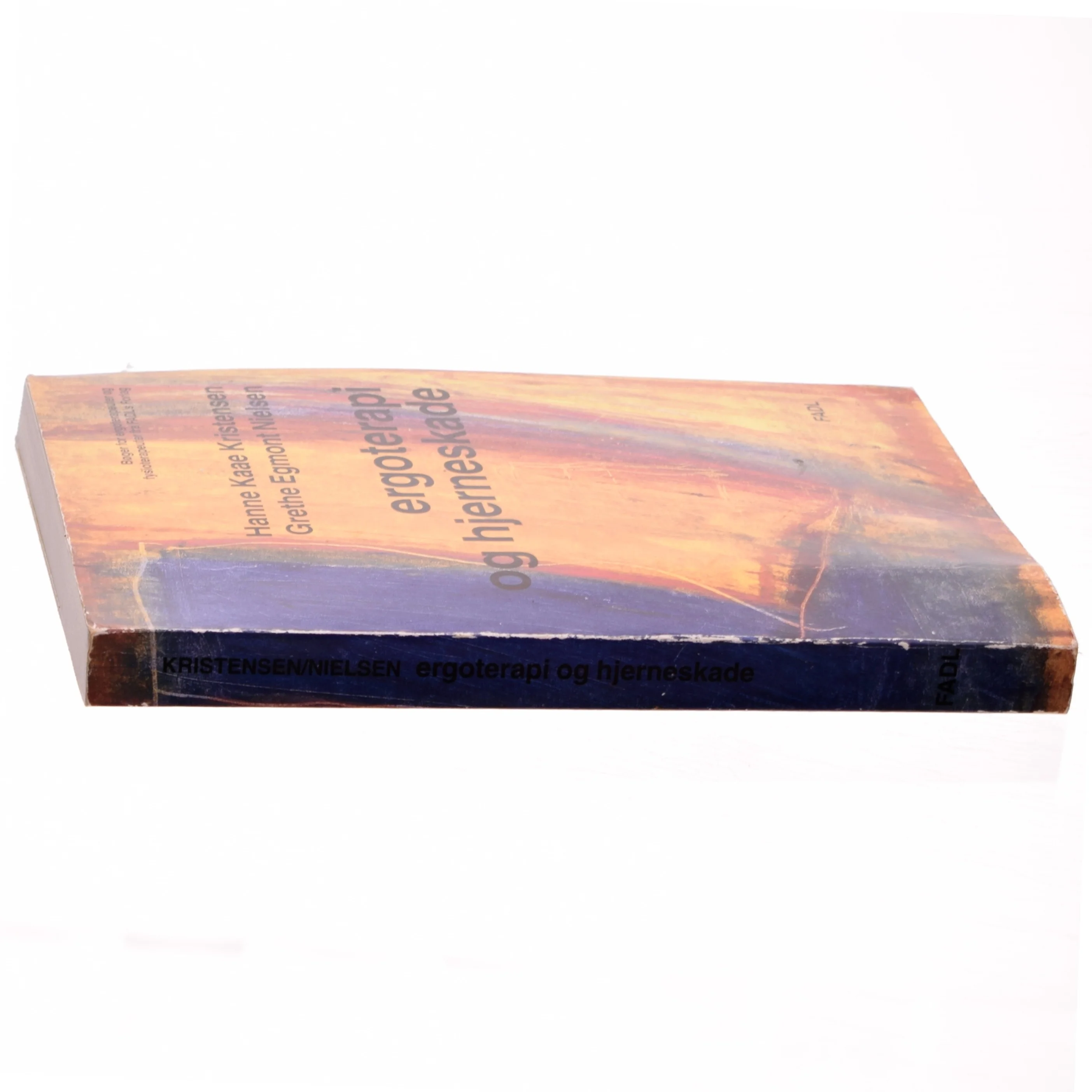 Ergoterapi og hjerneskade (Bog)