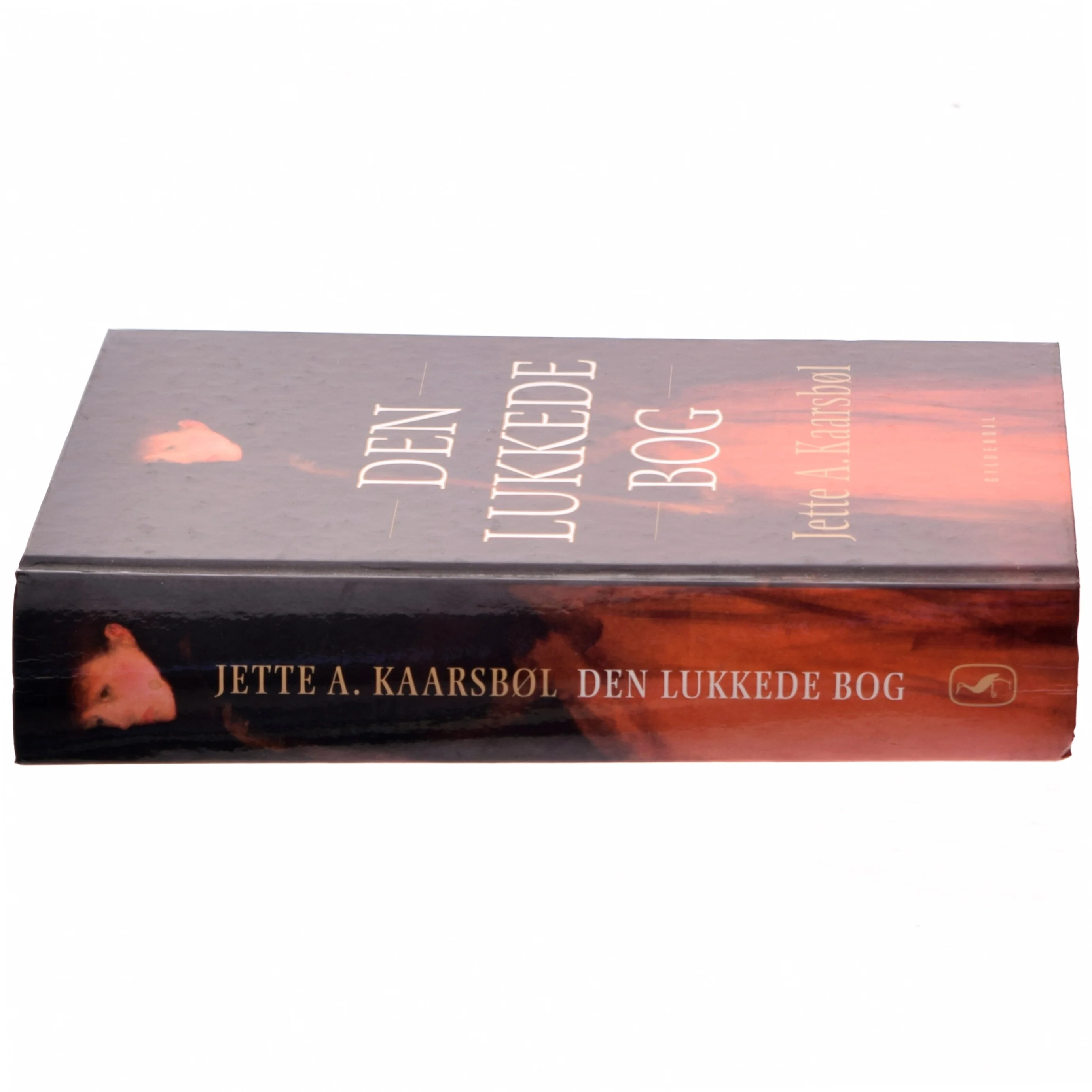 Den lukkede bog af Jette A. Kaarsbøl (Bog)