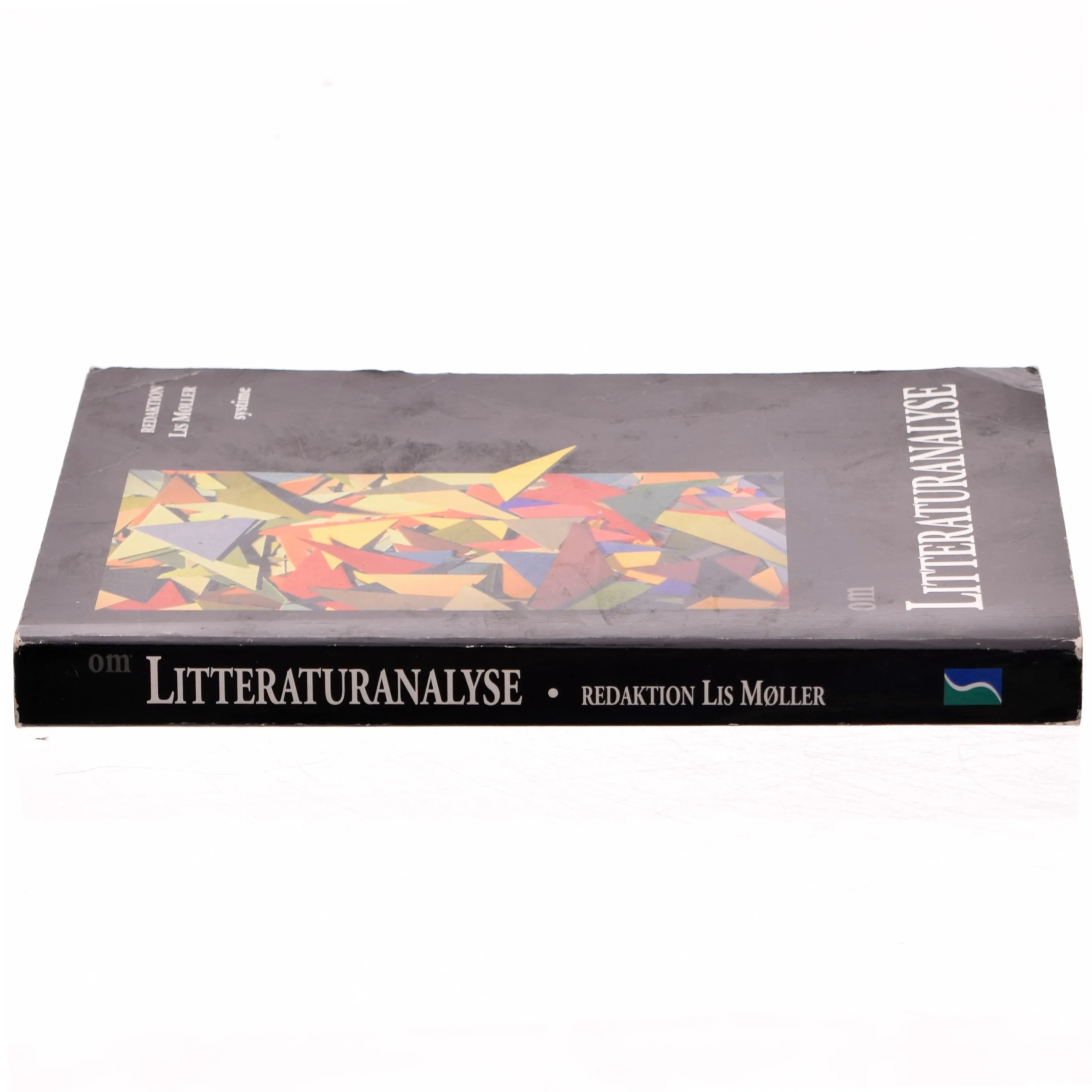 Om litteraturanalyse af Lis Møller (f. 1955) (Bog)