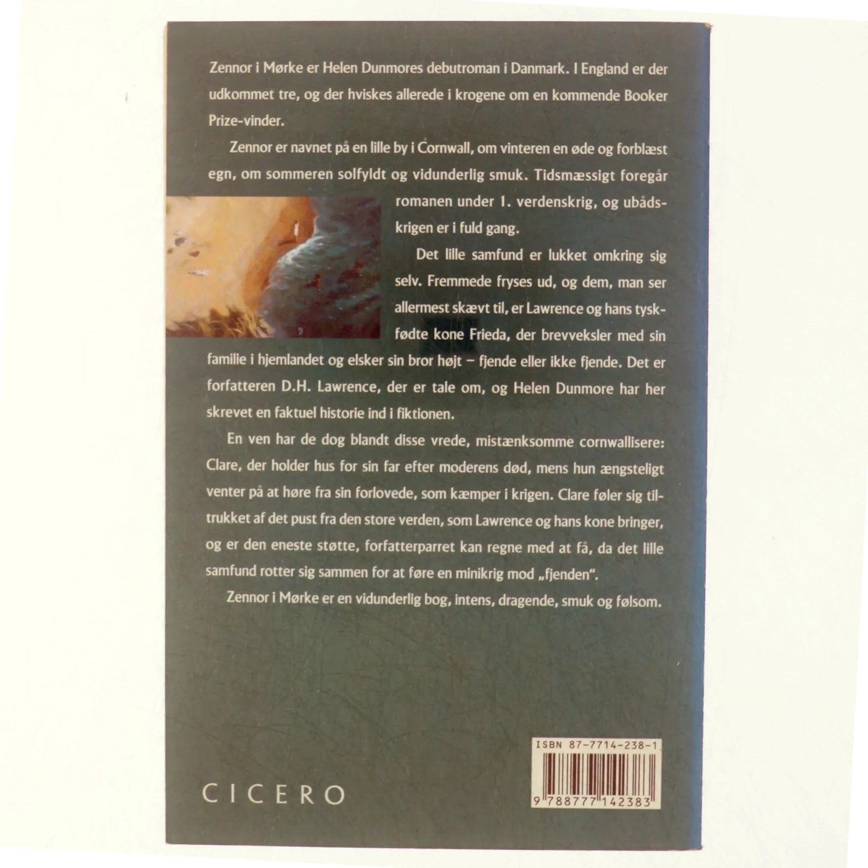 Zennor i mørke af Helen Dunmore (Bog)