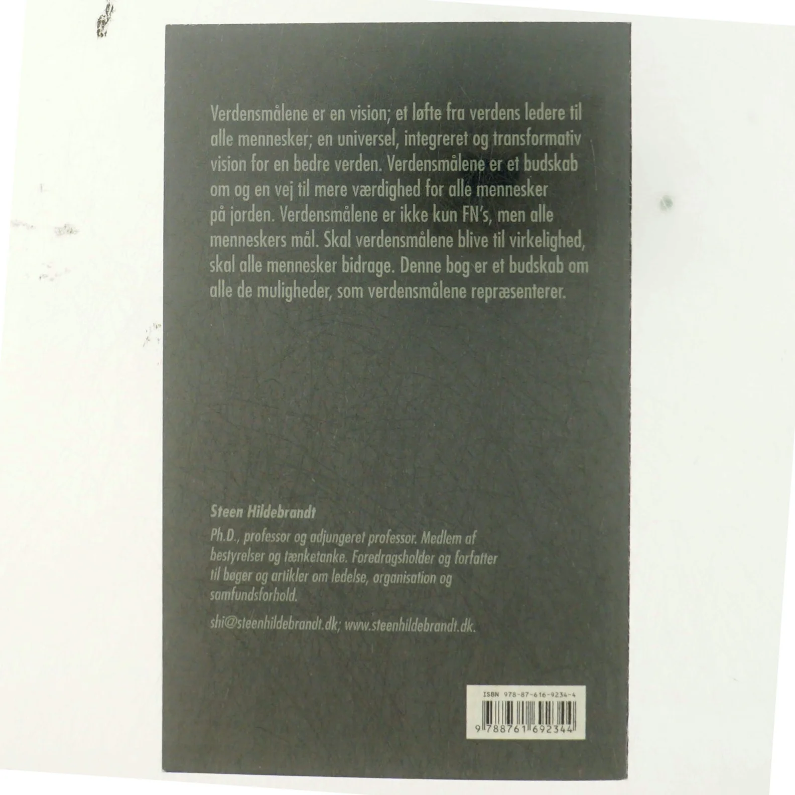 Verdensmålene : vor største mulighed og udfordring af Steen Hildebrandt (Bog)