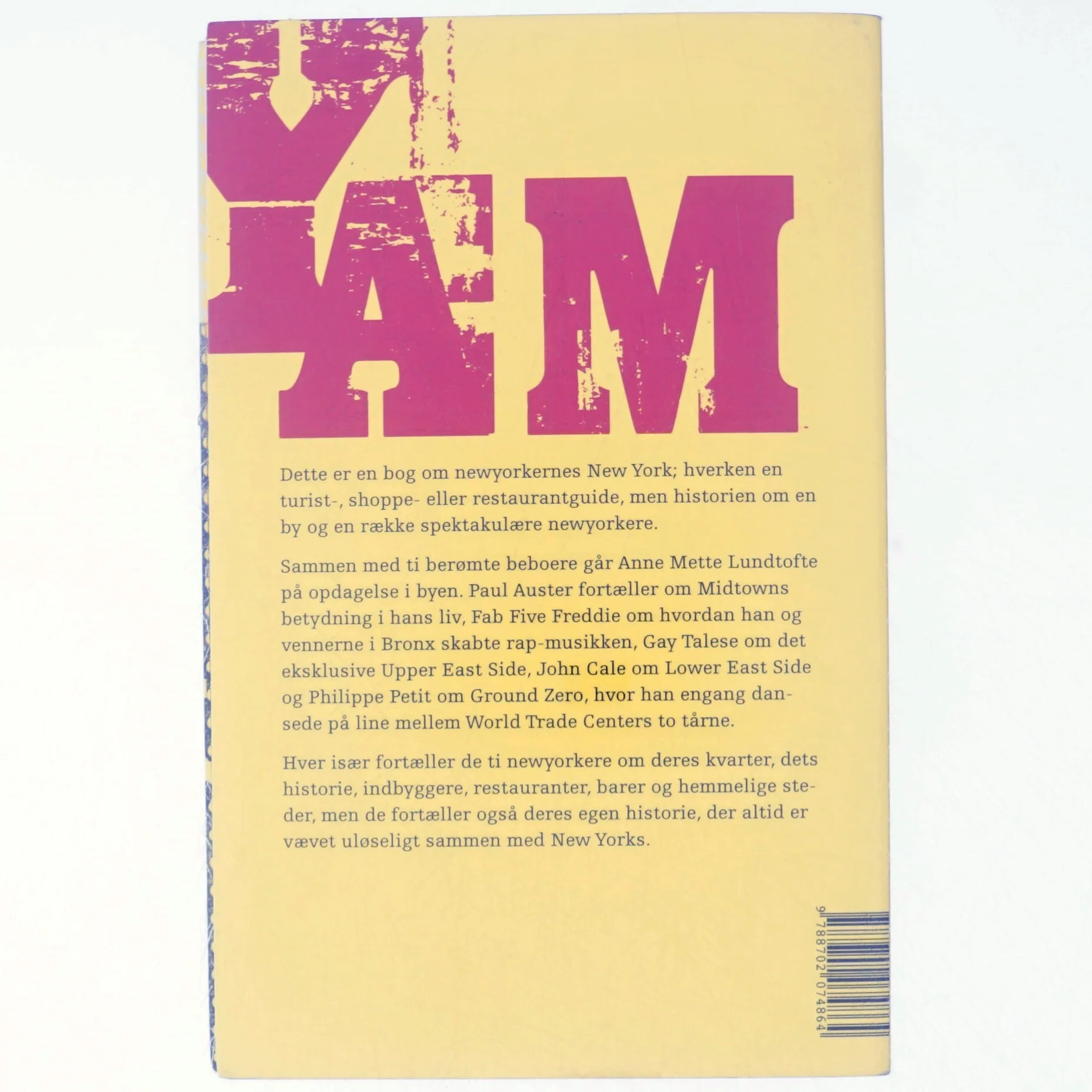 New York, New York : ti vandringer i newyorkernes fodspor af Anne Mette Lundtofte (Bog)