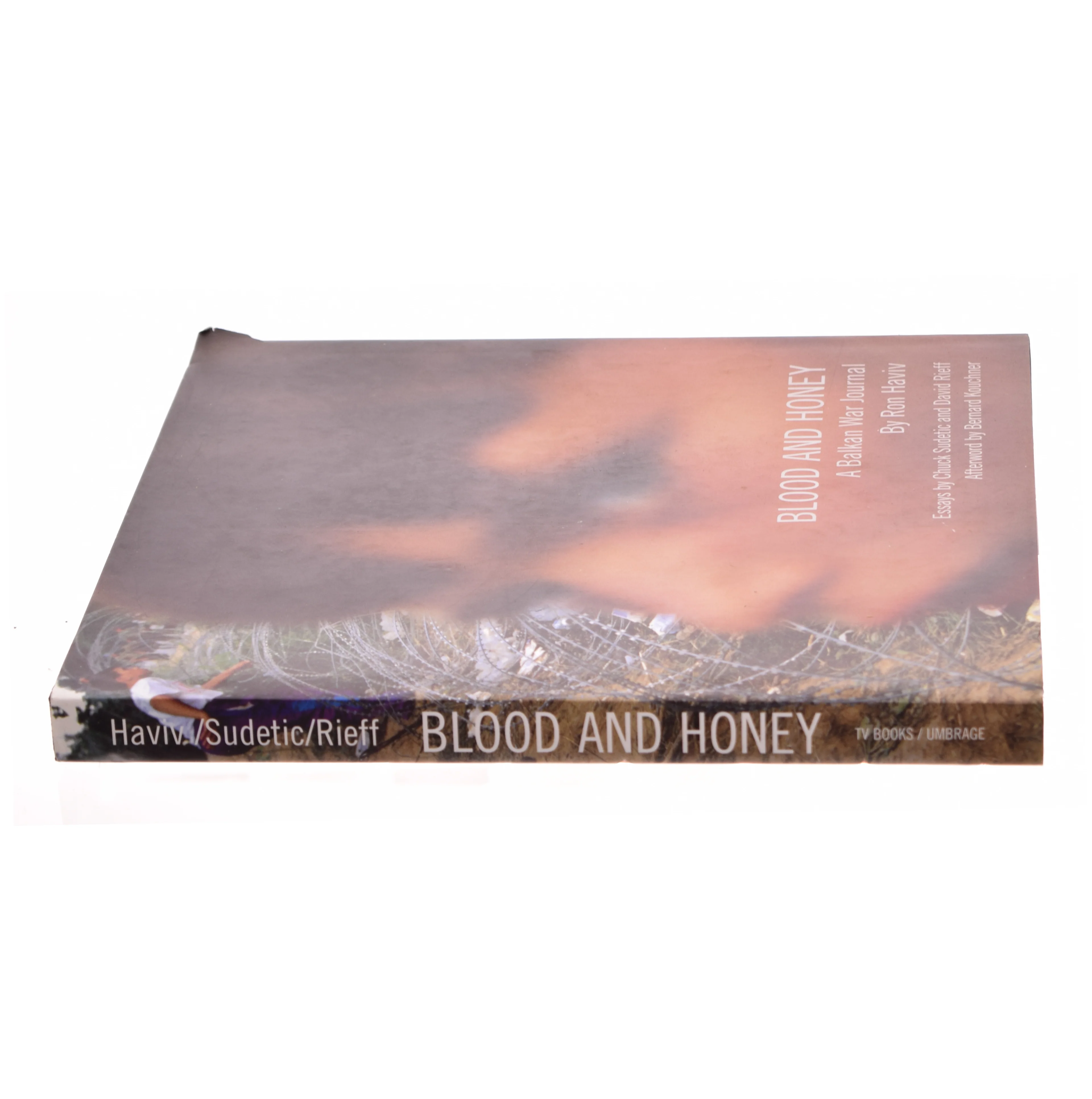 Louise Dahl-Wolfe: a Retrospective af Vicki Goldberg (Bog)