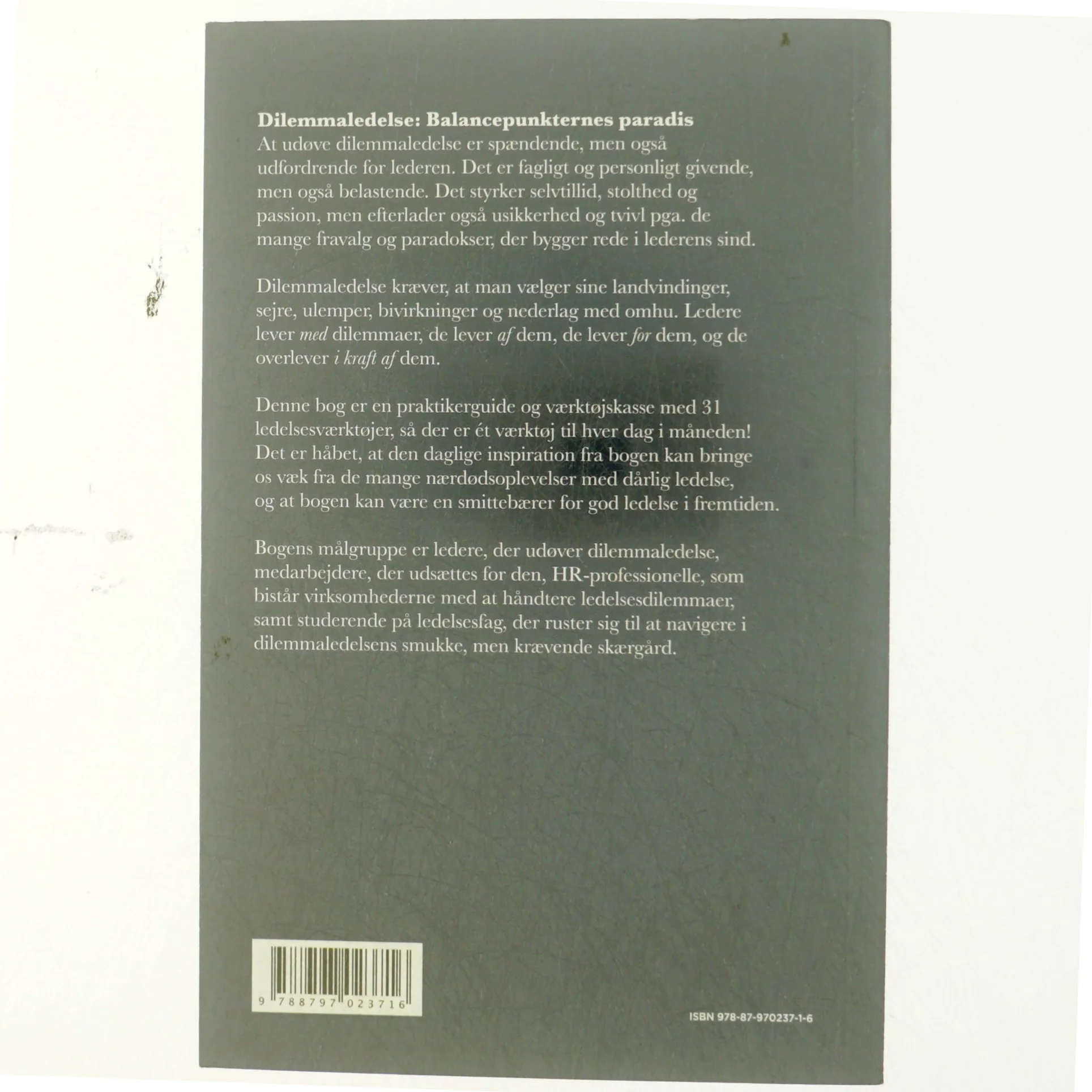 Dilemmaledelse i praksis : 31 værktøjer til den værdiskabende leder : en know-what, know-why og know-how bog for reflekterende praktikere (Ved Copenhagen Business School) af Lillian Mogensen (Bog)