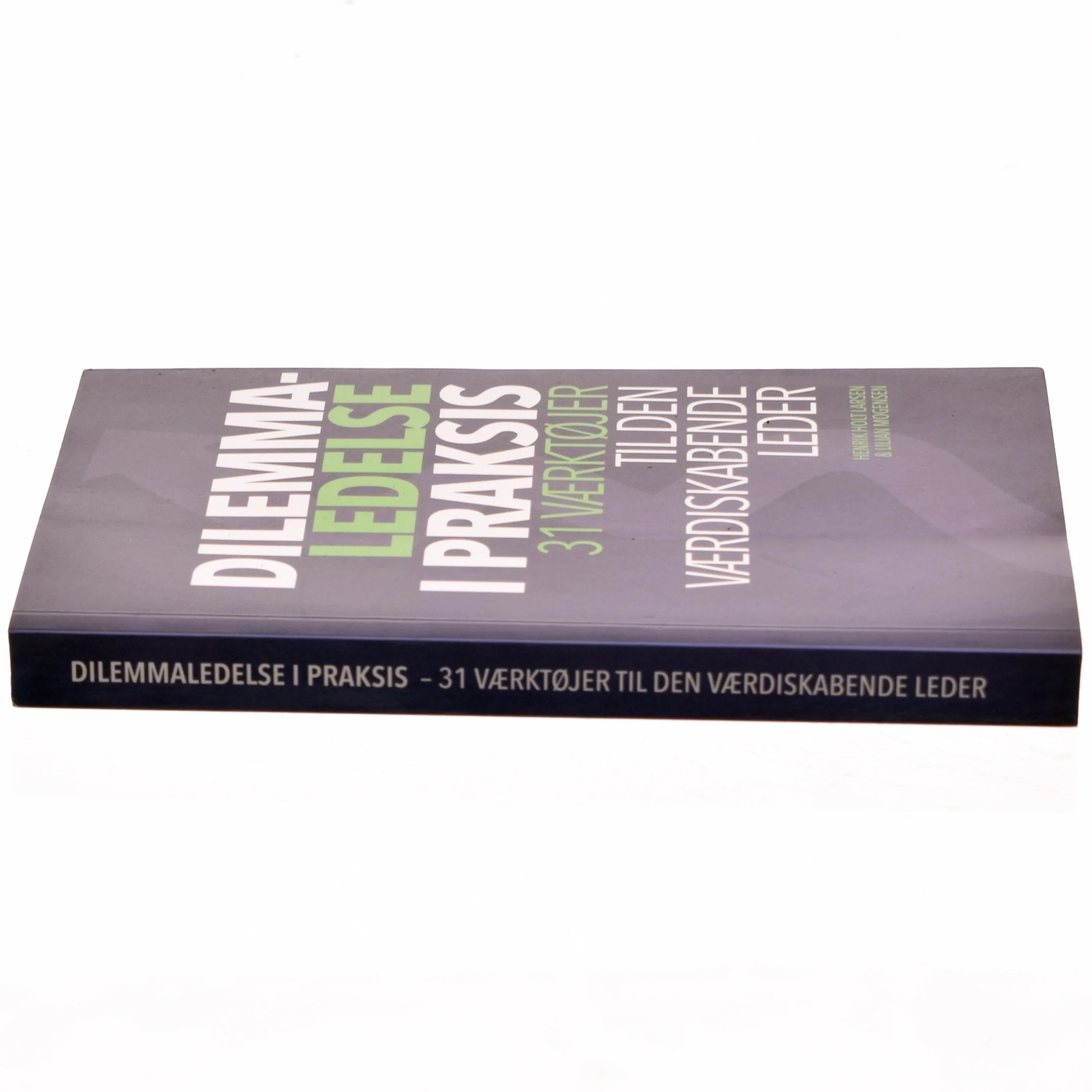 Dilemmaledelse i praksis : 31 værktøjer til den værdiskabende leder : en know-what, know-why og know-how bog for reflekterende praktikere (Ved Copenhagen Business School) af Lillian Mogensen (Bog)