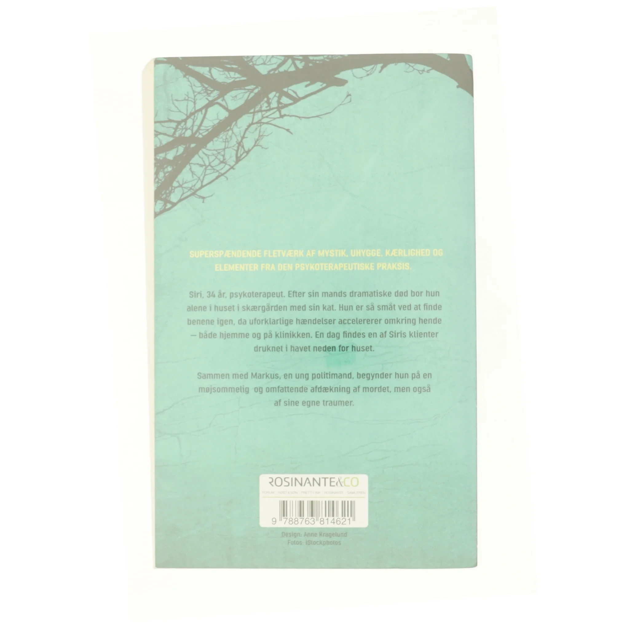 Jeg ser dig af Camilla Grebe & Åsa Träff (Bog)