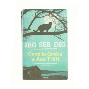 Jeg ser dig af Camilla Grebe & Åsa Träff (Bog)