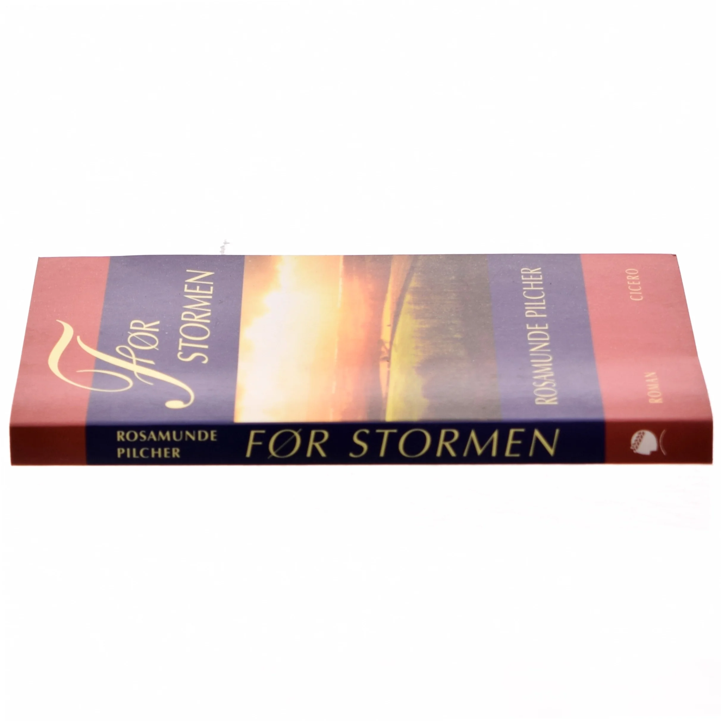 Før stormen af Rosamunde Pilcher (Bog)