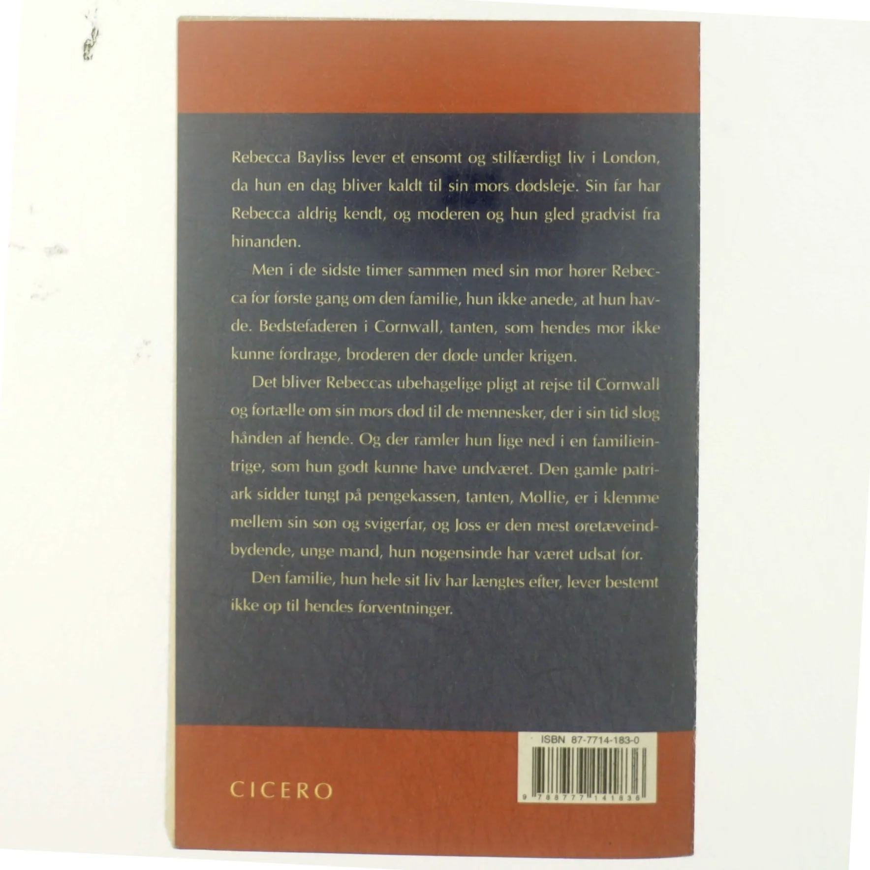 Før stormen af Rosamunde Pilcher (Bog)