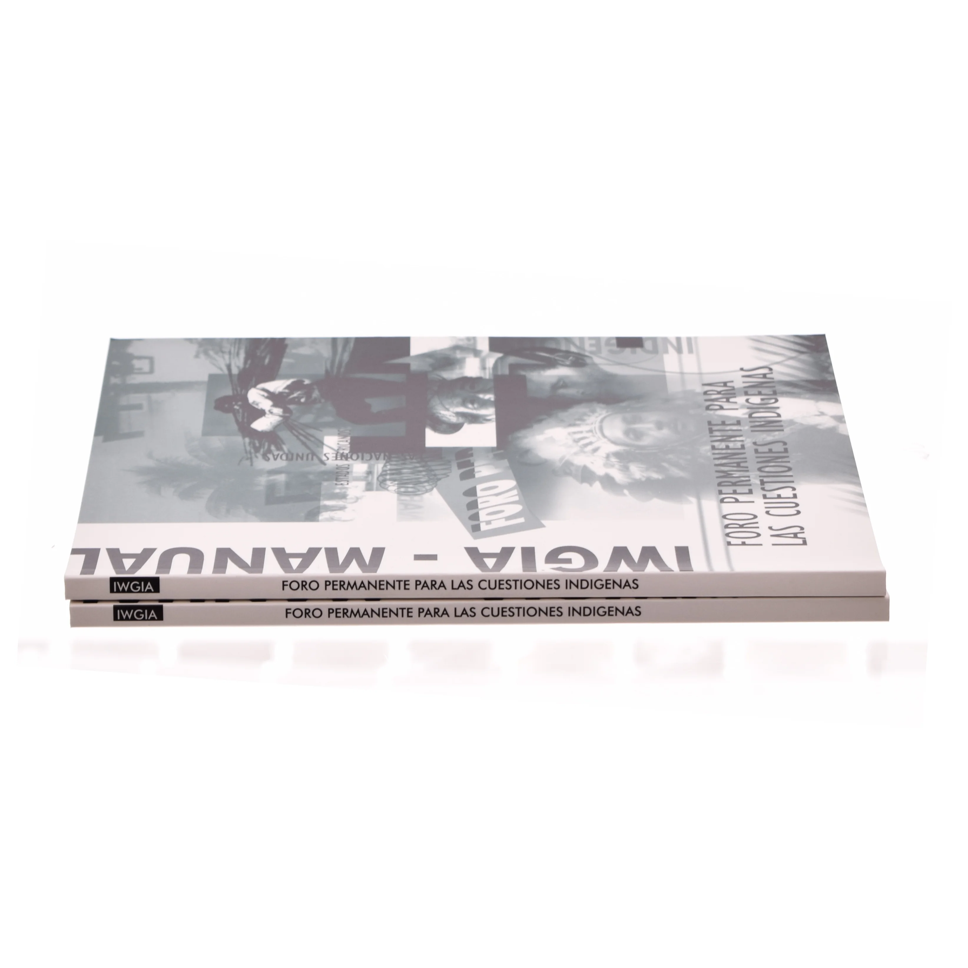 Foro Permanente Para las cuestiones indigenas (bog)