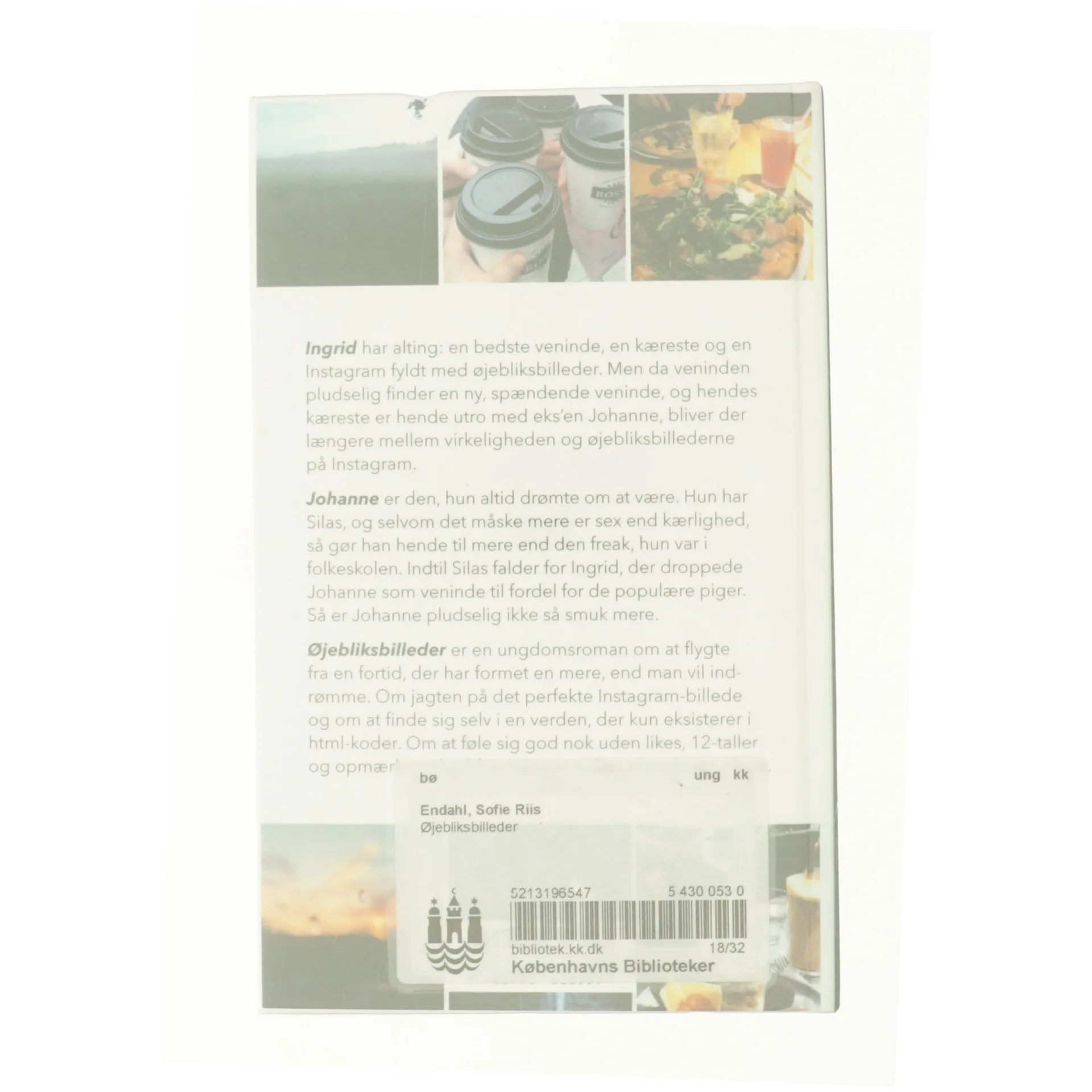 Øjebliksbilleder af Sofie Riis Endahl (Bog)