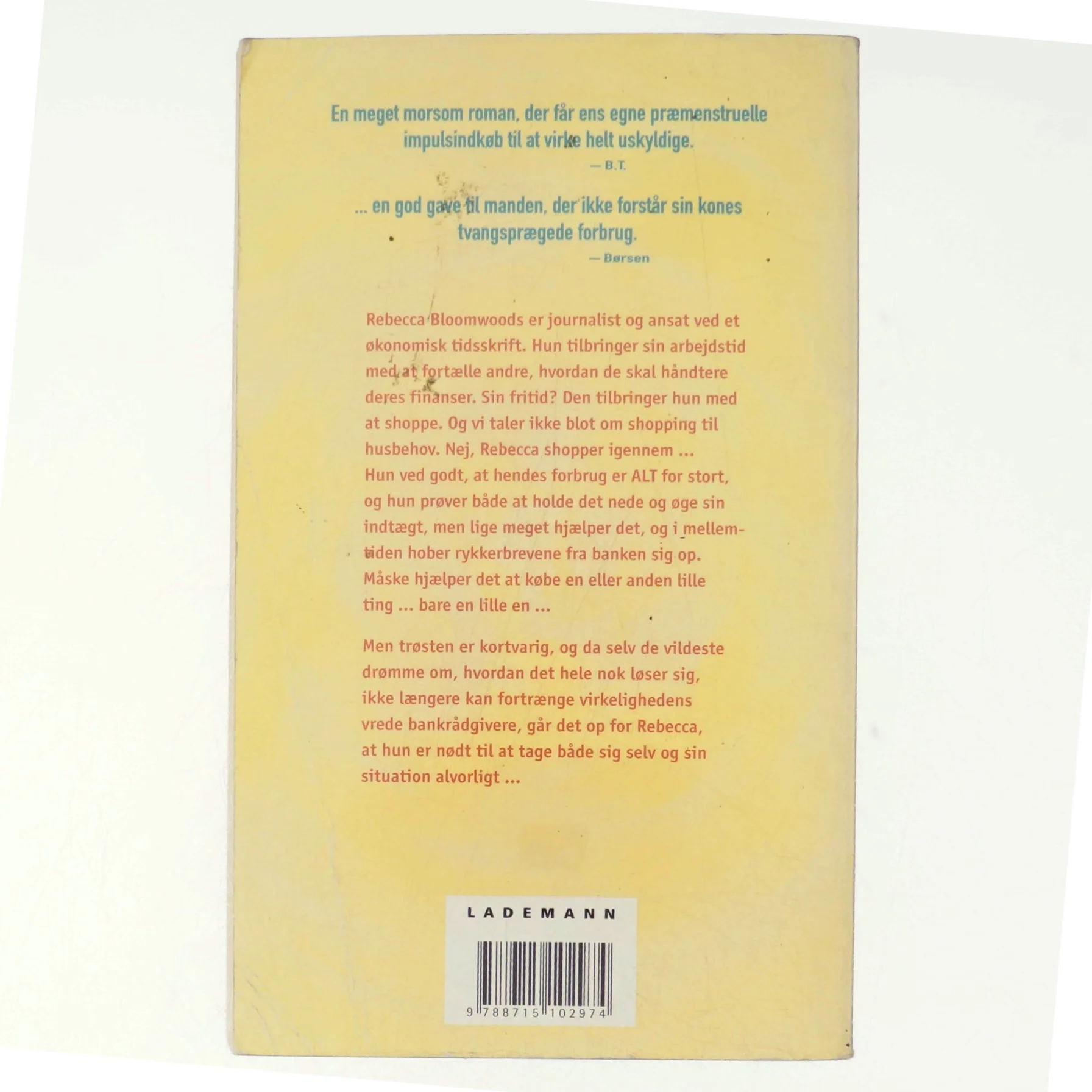 En shopaholics hemmelige drømmeverden af Sophie Kinsella (Bog)