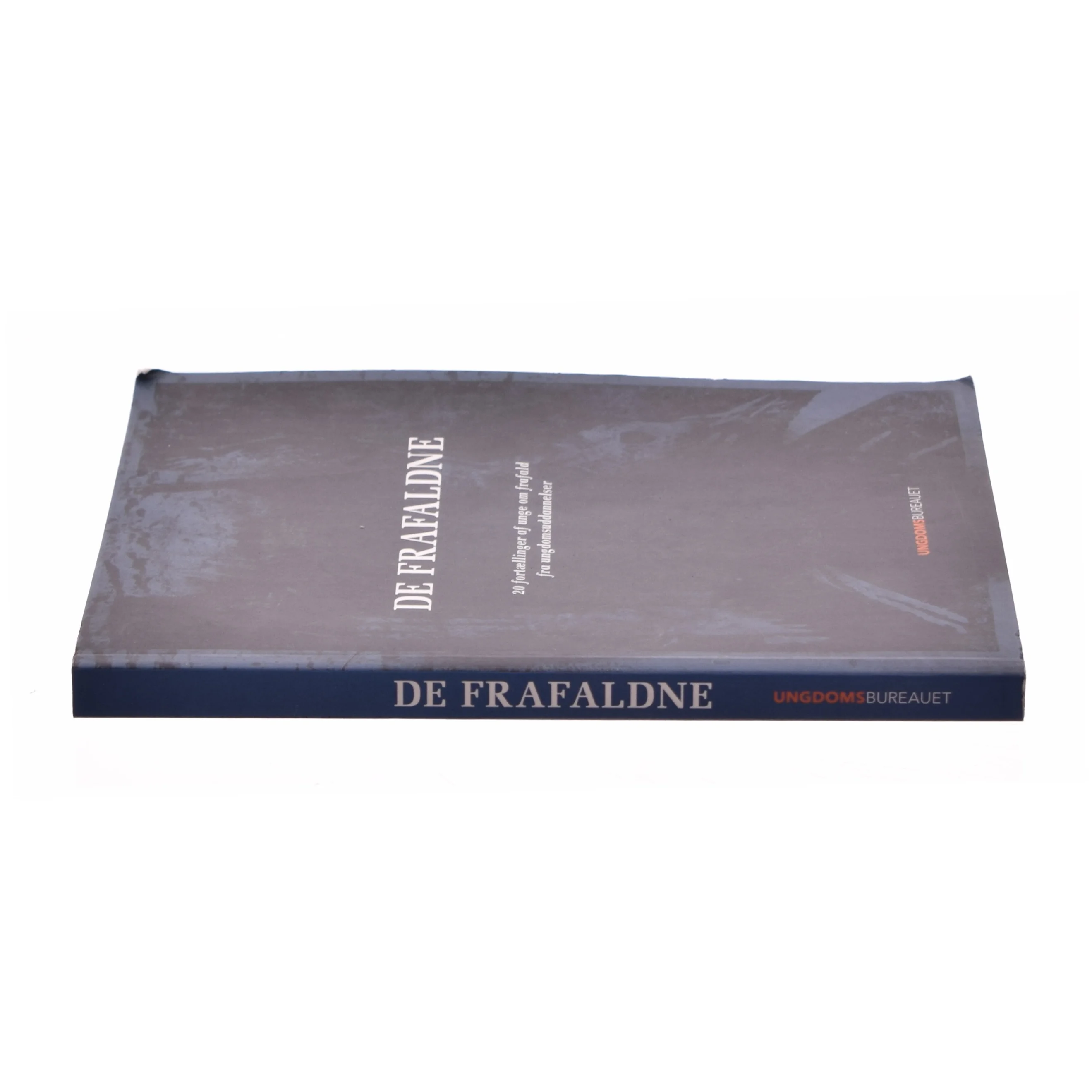 De frafaldne : 20 fortællinger af unge om frafald fra ungdomsuddannelser (Bog)