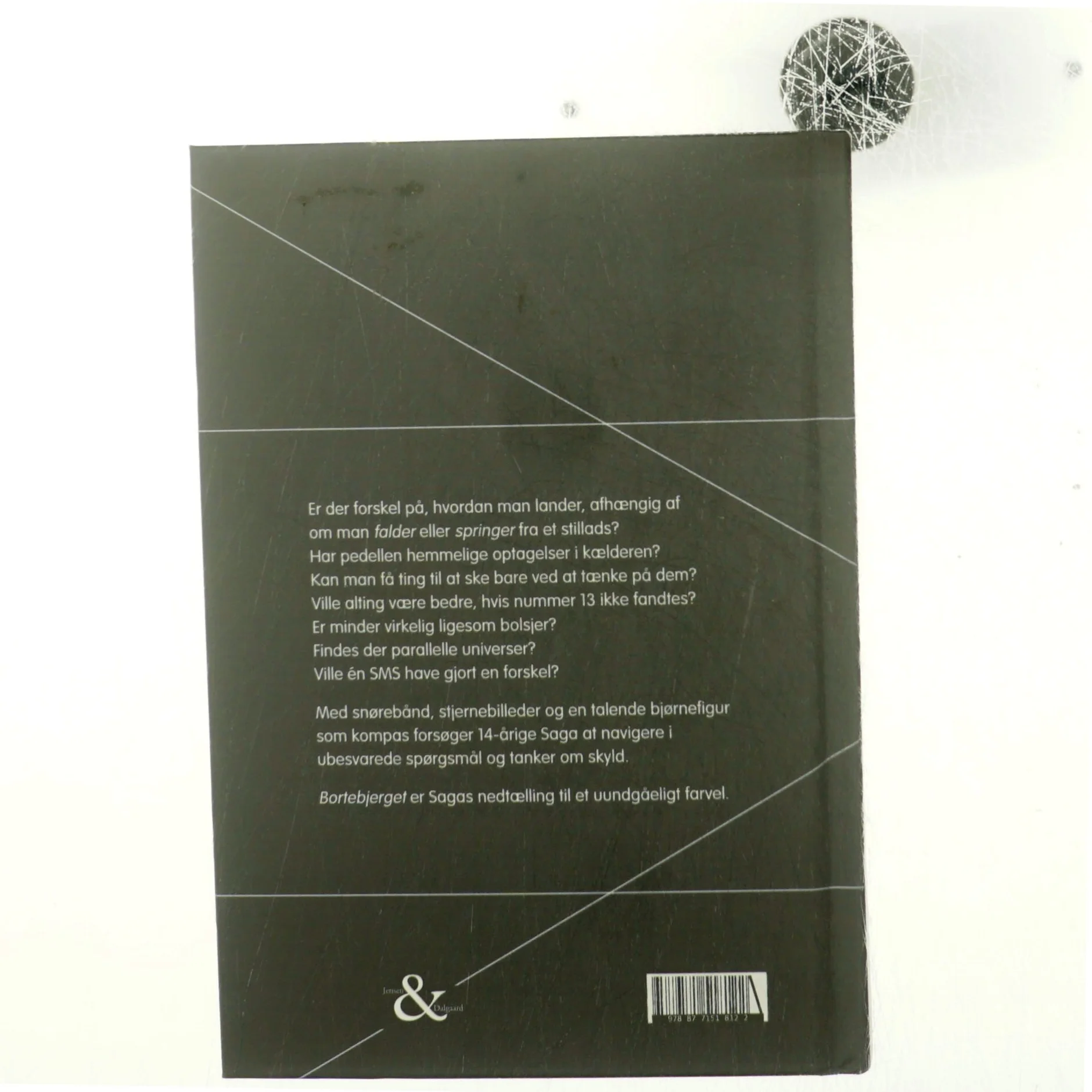 Bortebjerget af Kathrine Assels (Bog)