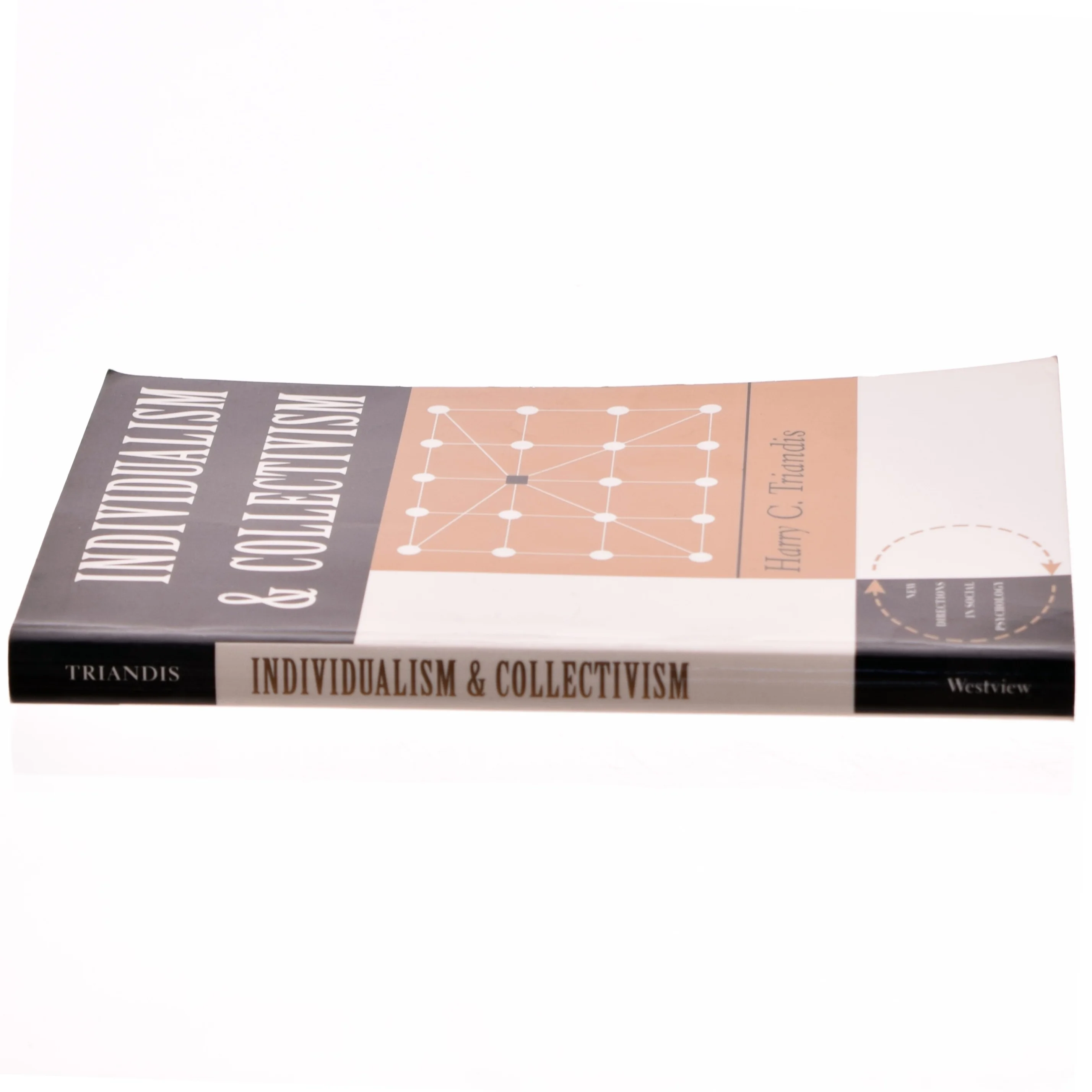 Individualism And Collectivism af Harry C Triandis (Bog)