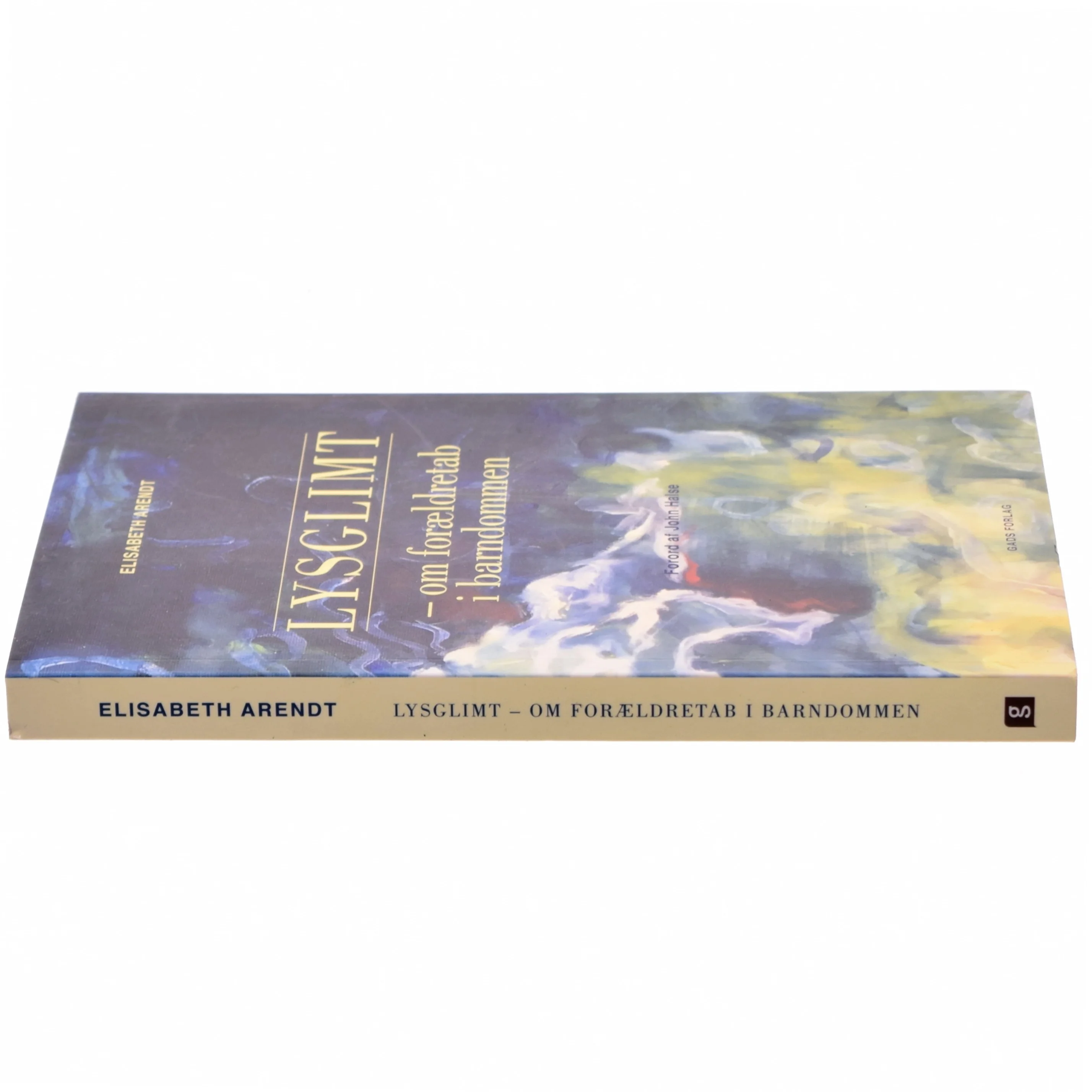 Lysglimt : om forældretab i barndommen af Elisabeth Arendt (f. 1975) (Bog)