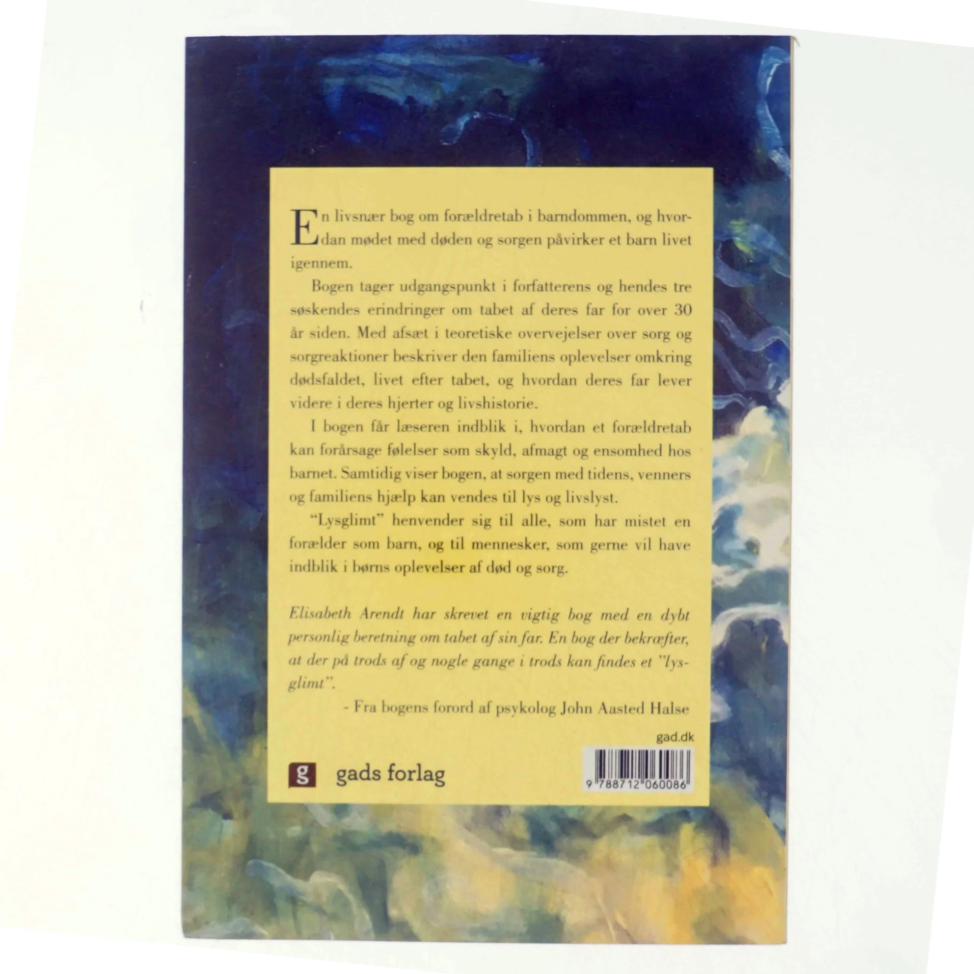 Lysglimt : om forældretab i barndommen af Elisabeth Arendt (f. 1975) (Bog)