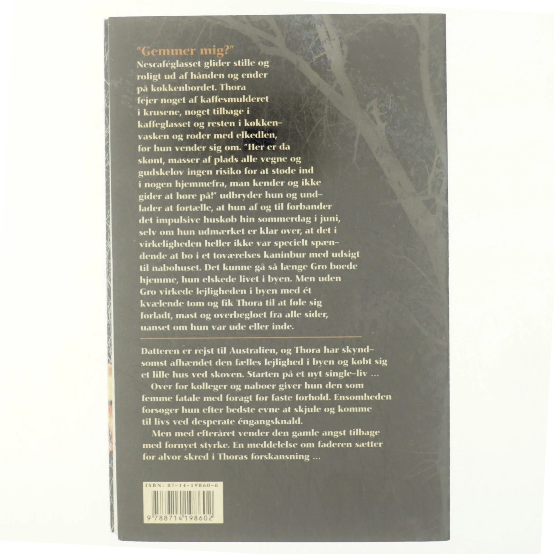 Omvej af Anne-Grethe Dahms (Bog)