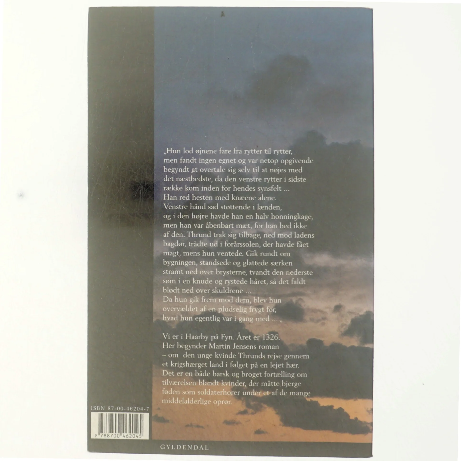 Soldaterhoren af Martin Jensen (f. 1946) (Bog)