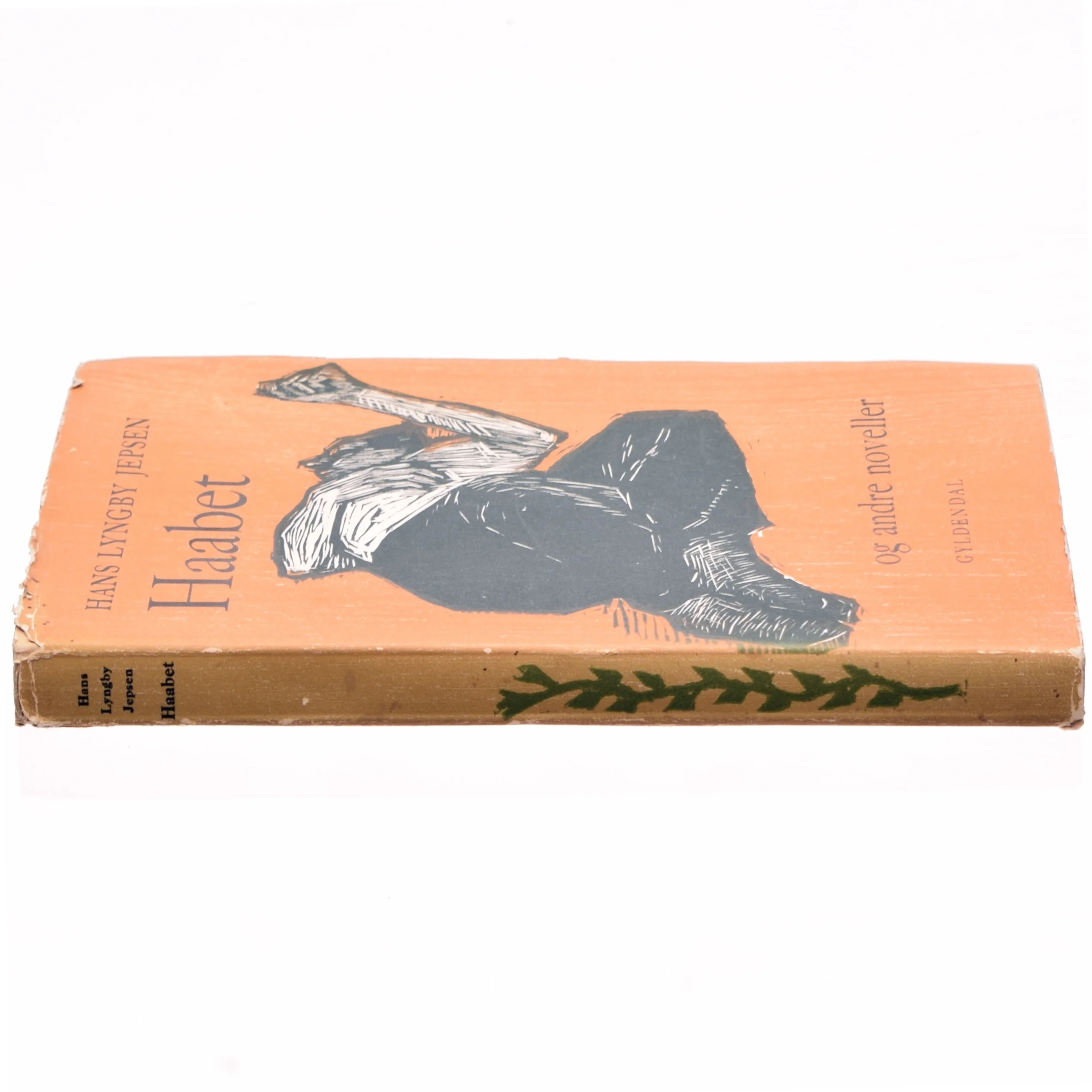 Haabet af Hans Lyngby Jepsen