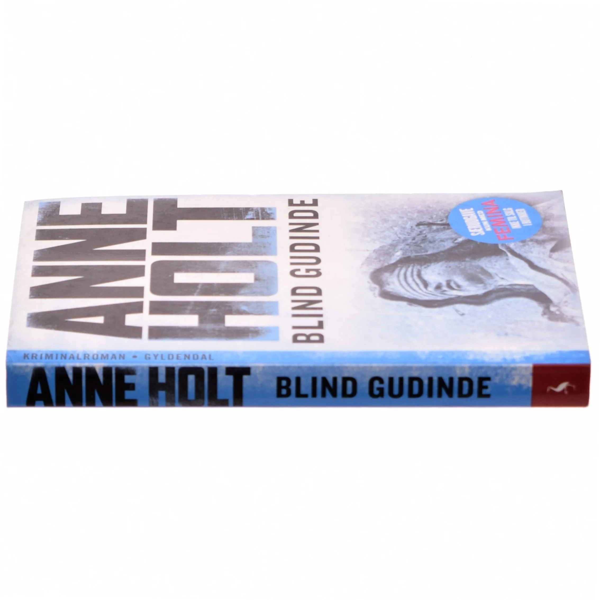 Blind gudinde af Anne Holt (f. 1958-11-16) (Bog)
