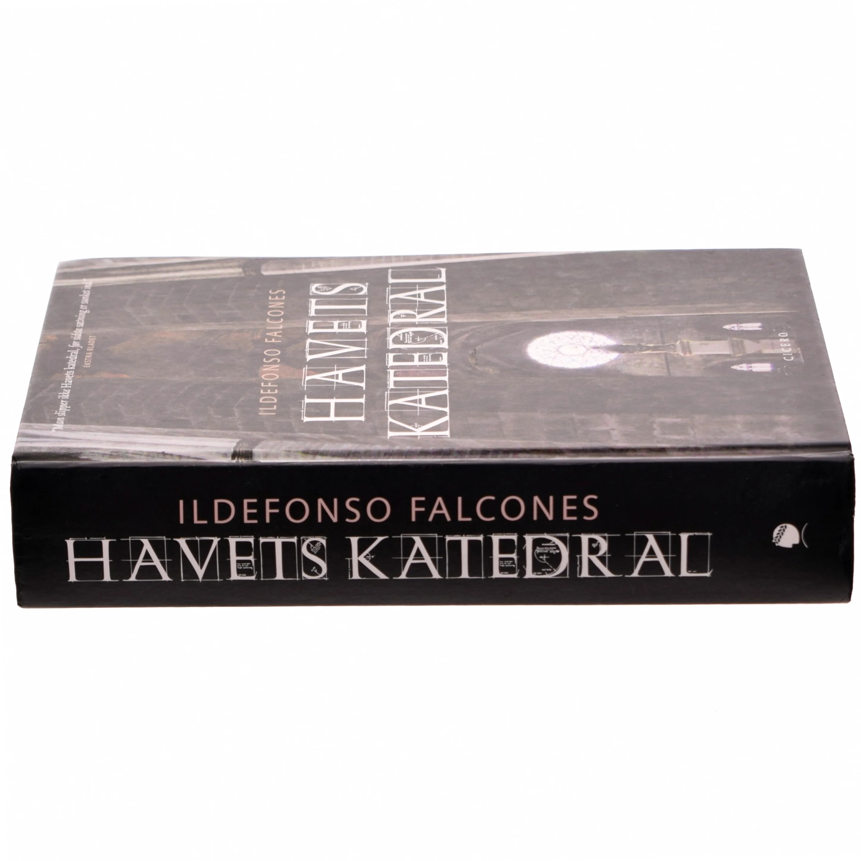 Havets katedral af Ildefonso Falcones (Bog)