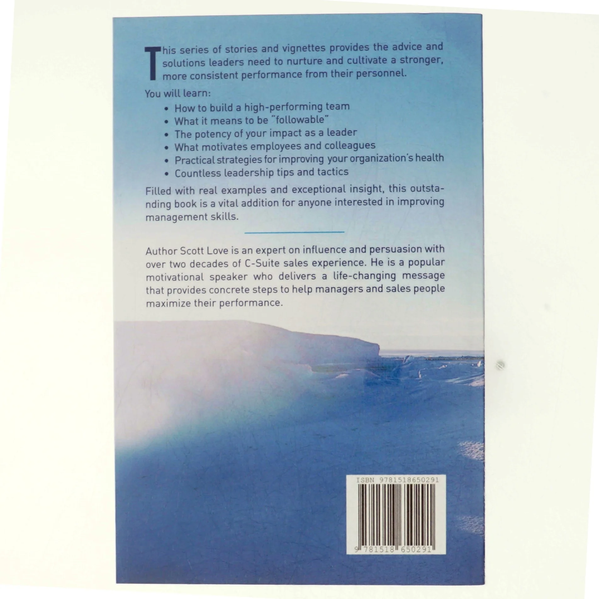 Why They Follow af Scott Love (Bog)