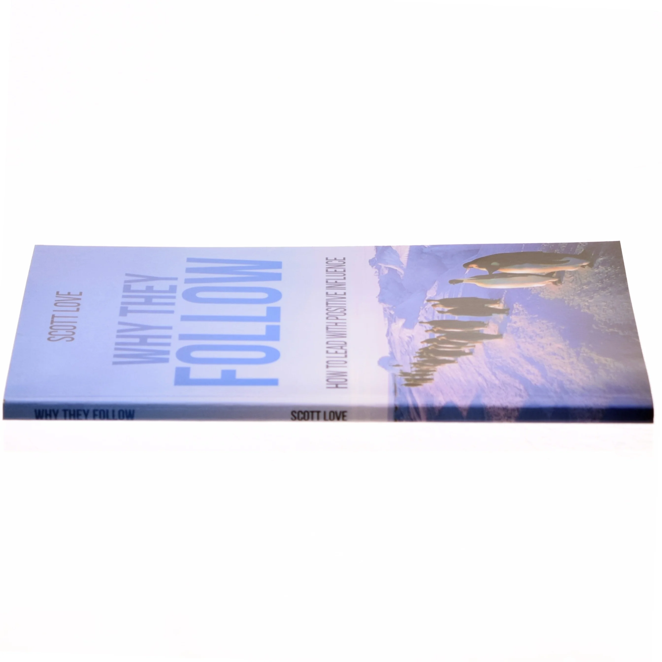 Why They Follow af Scott Love (Bog)