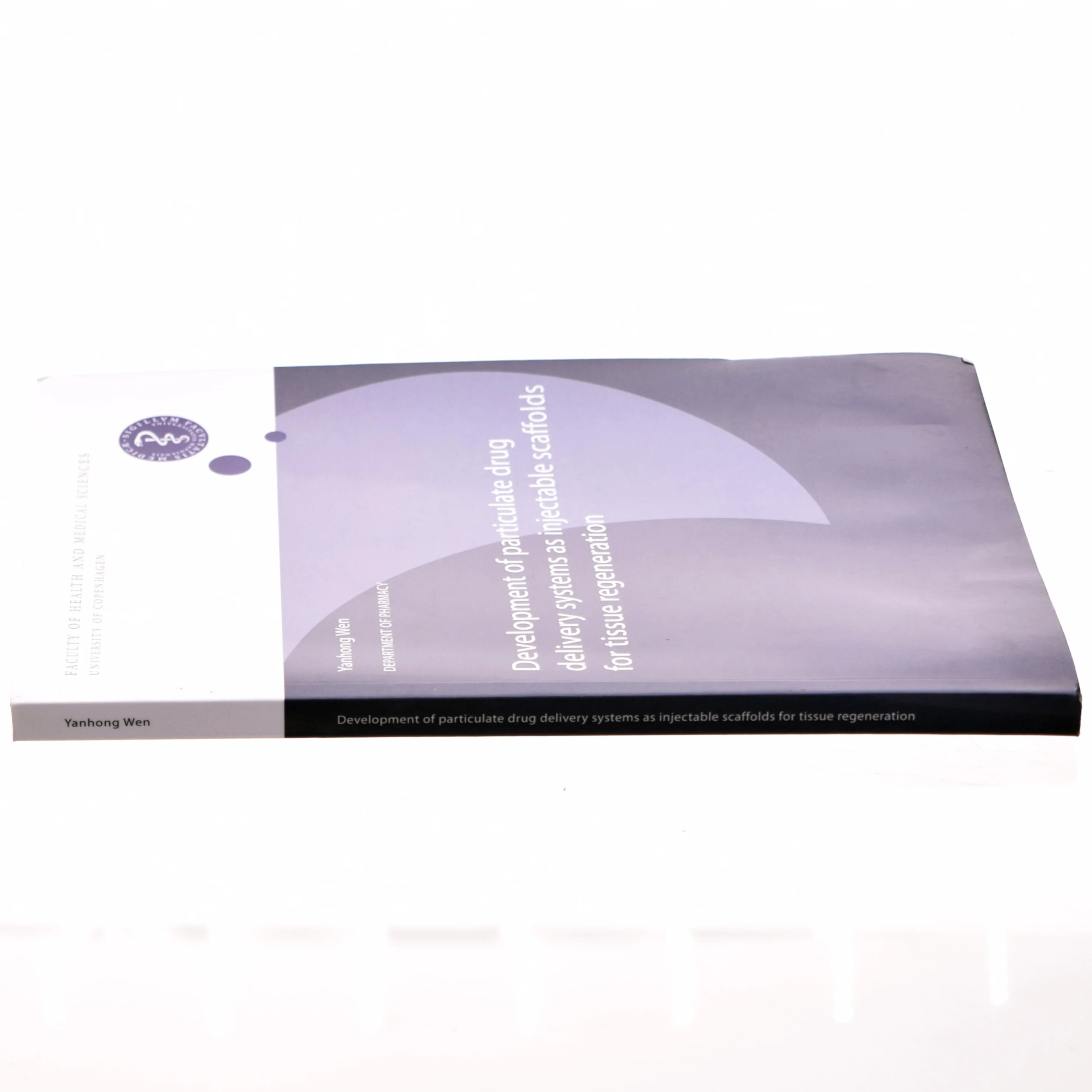 Development of particulate drug delivery