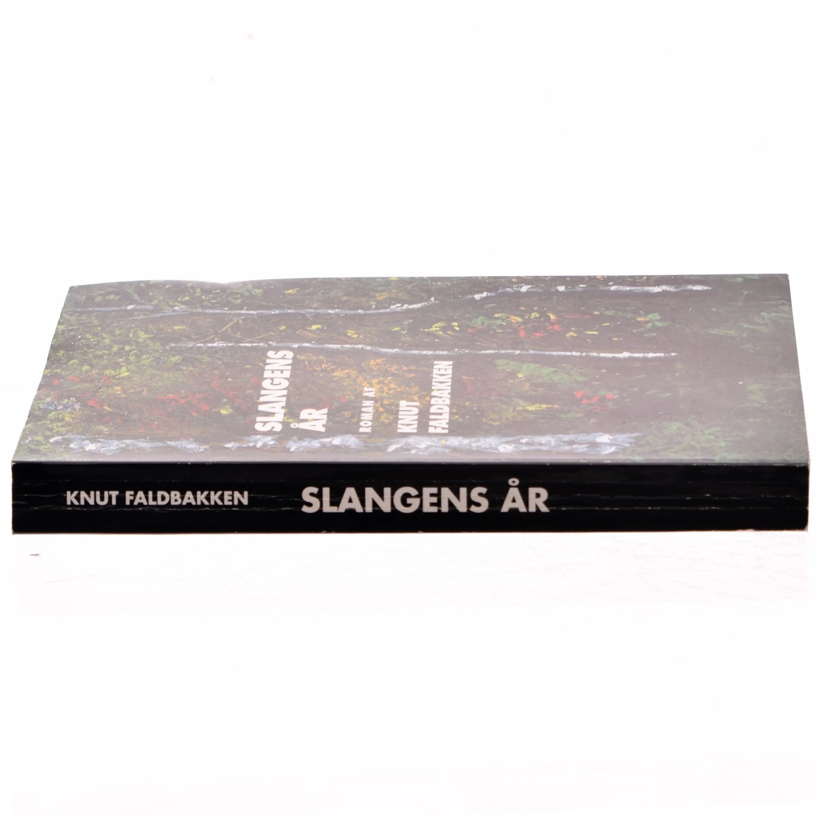 Slangens år af Knut Faldbakken (Bog)