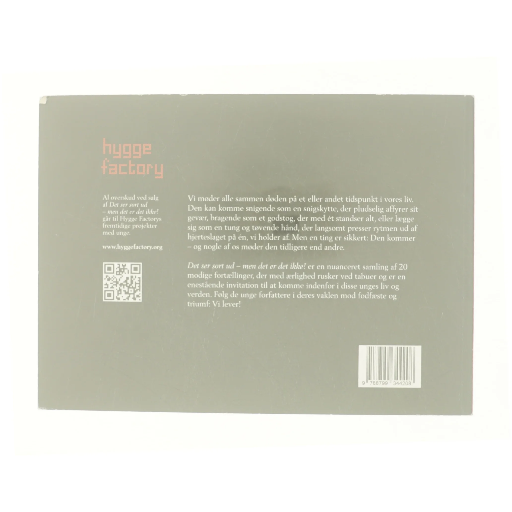 Det ser sort ud : men det er det ikke! af Danielle Munk Borg Epp Svendsen (Bog)