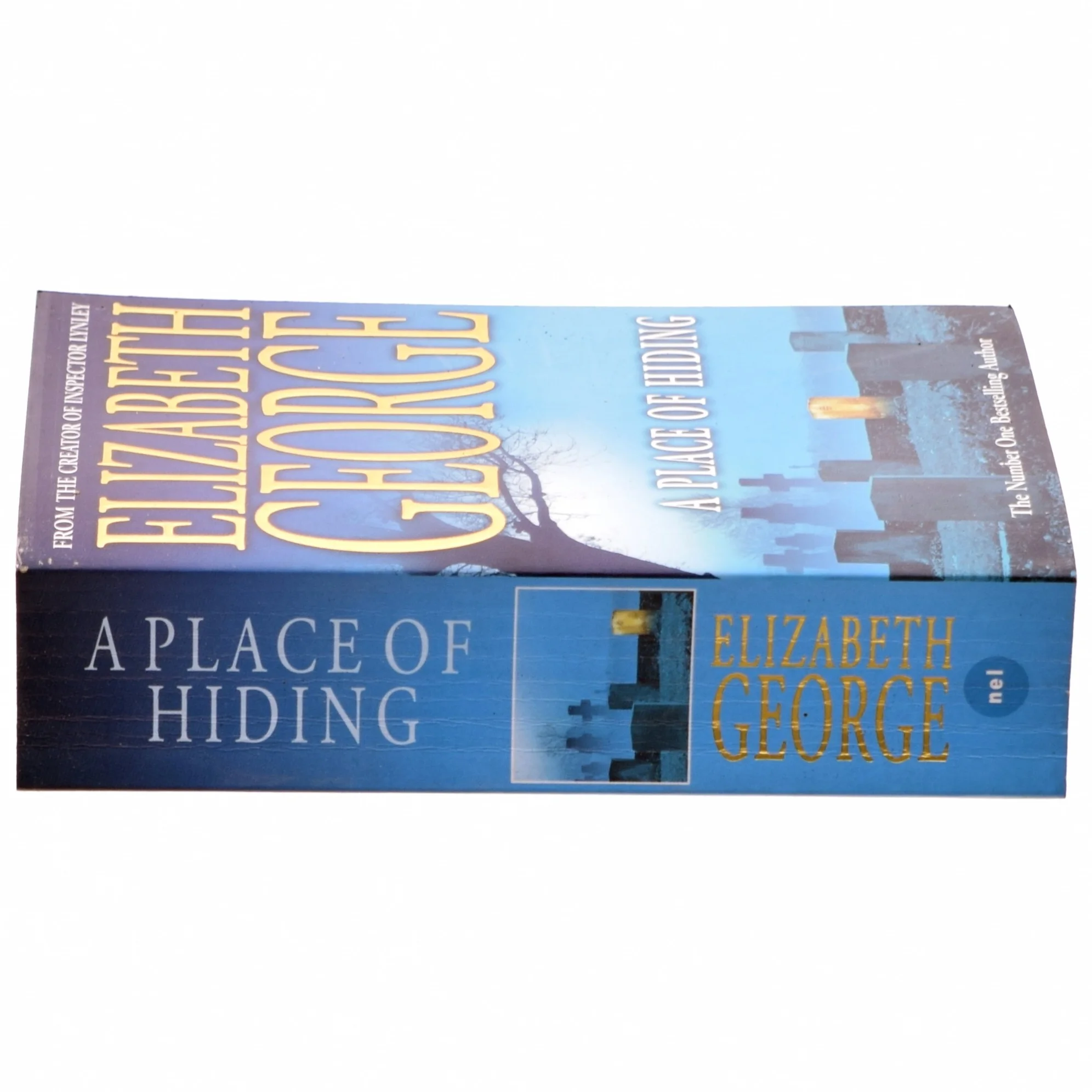 A place of hiding af Elizabeth George (Bog)