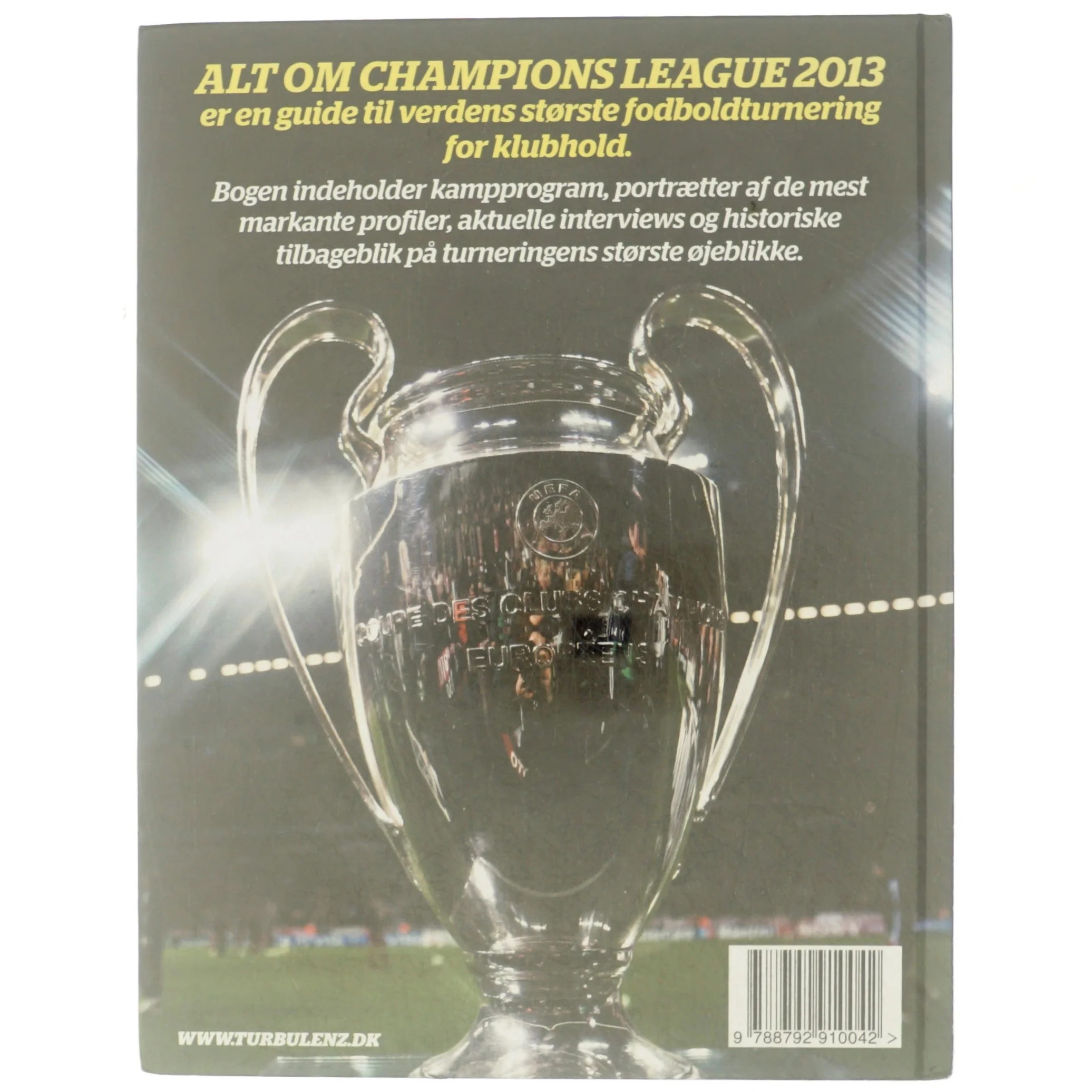 Alt om Champions League 2013 af Steffen Gronemann (Bog)