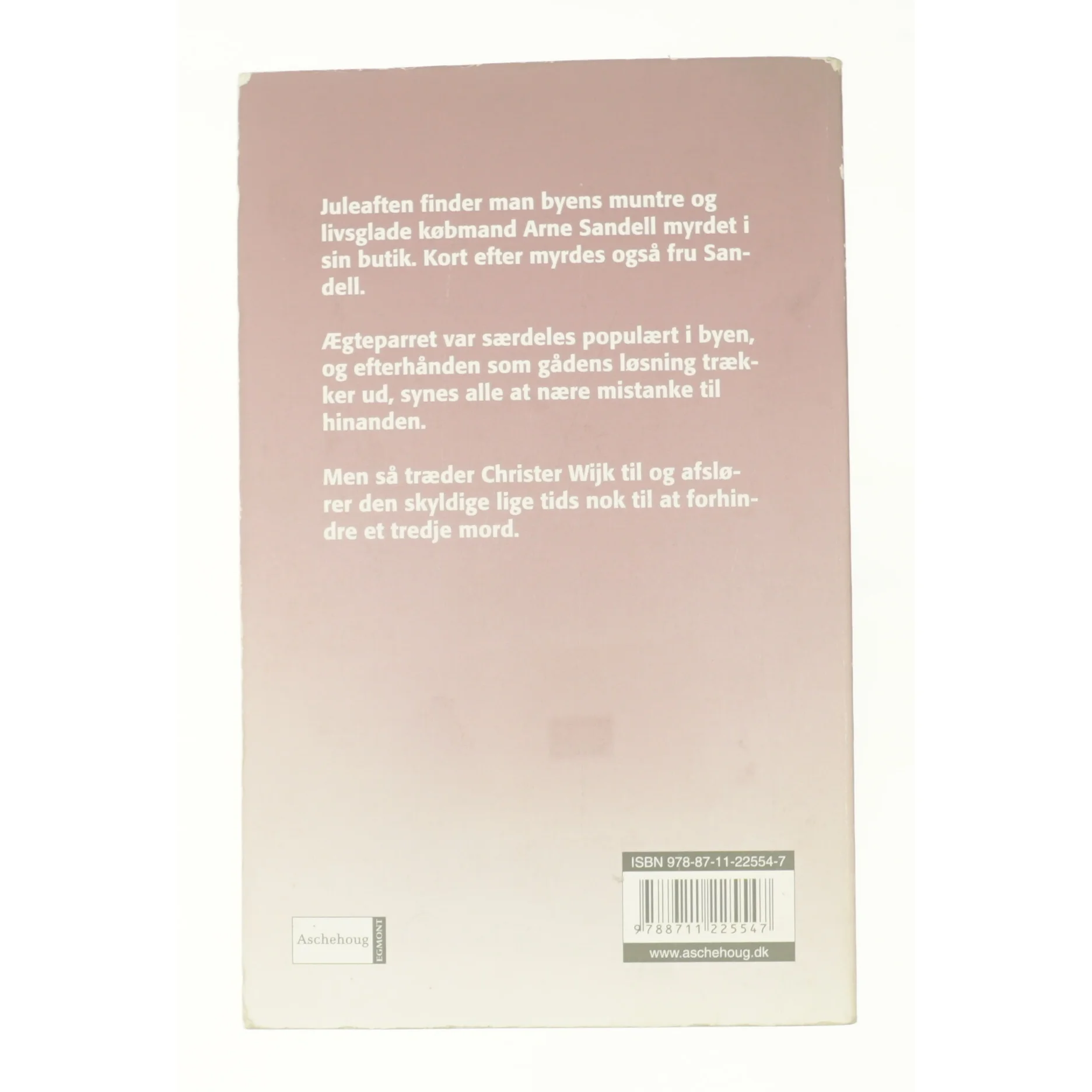 Mordet på landsbykirkegården af Maria Lang fra Bog