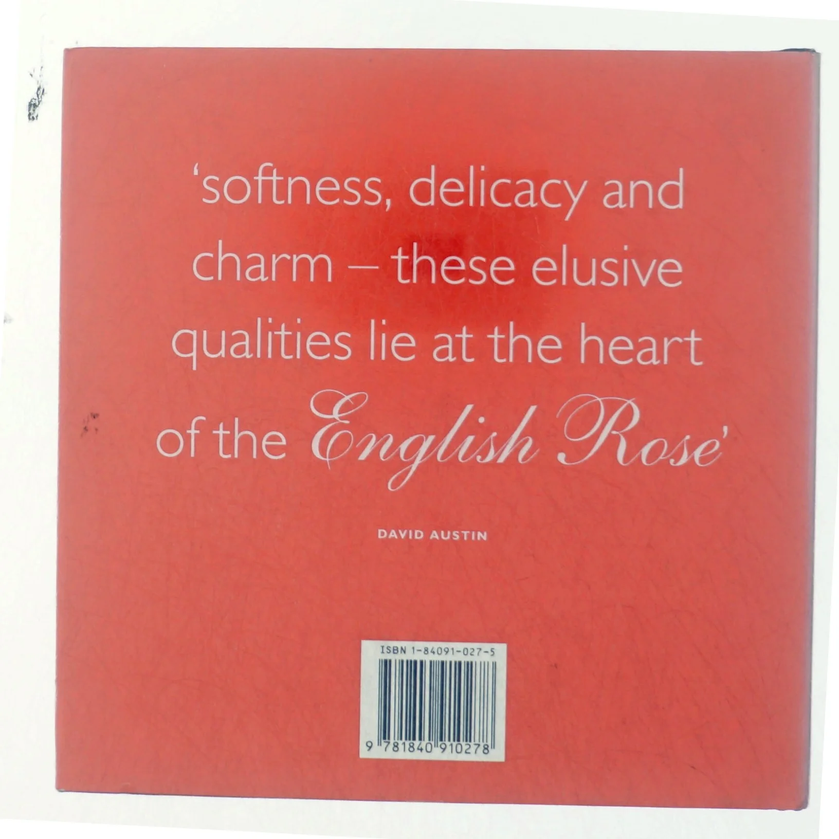 The English rose af David Austin