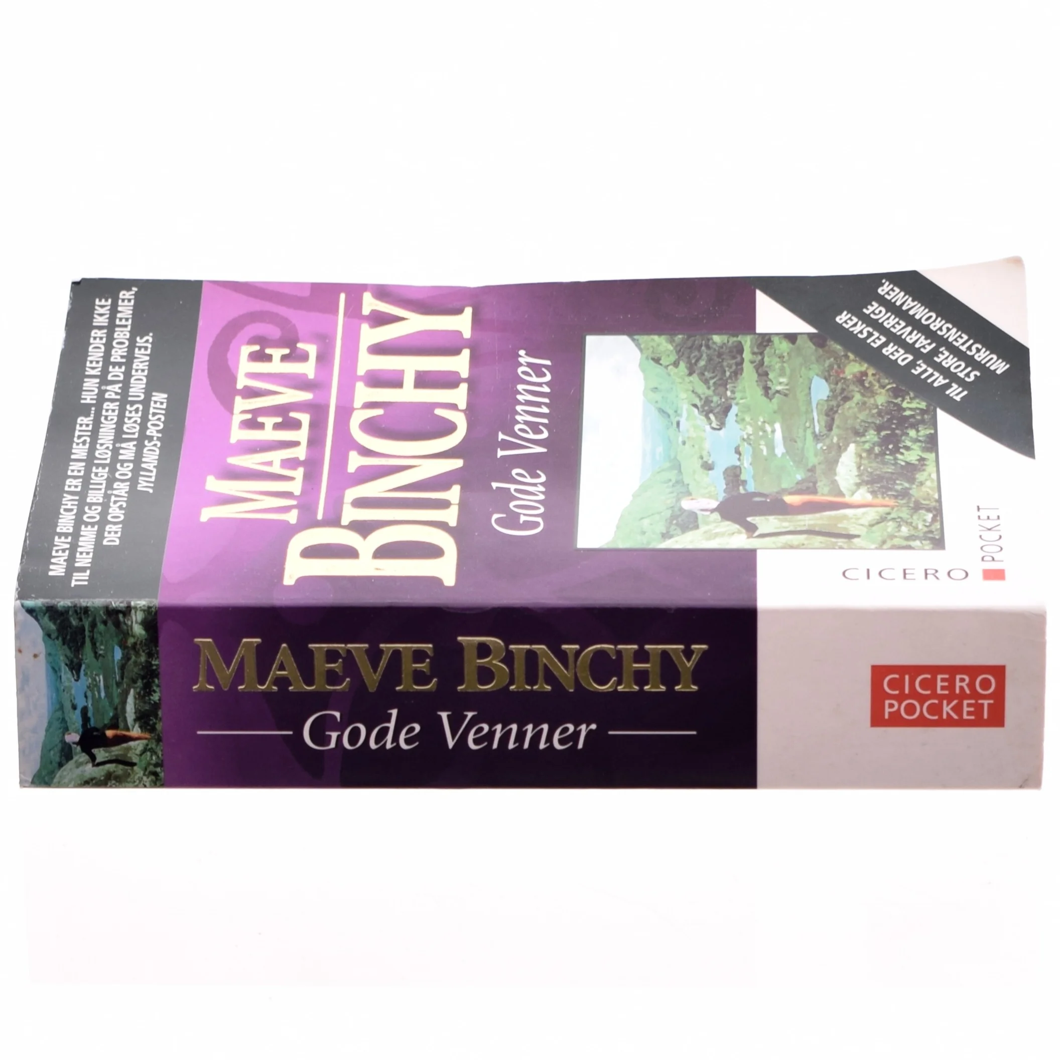 Gode venner af Maeve Binchy (Bog)