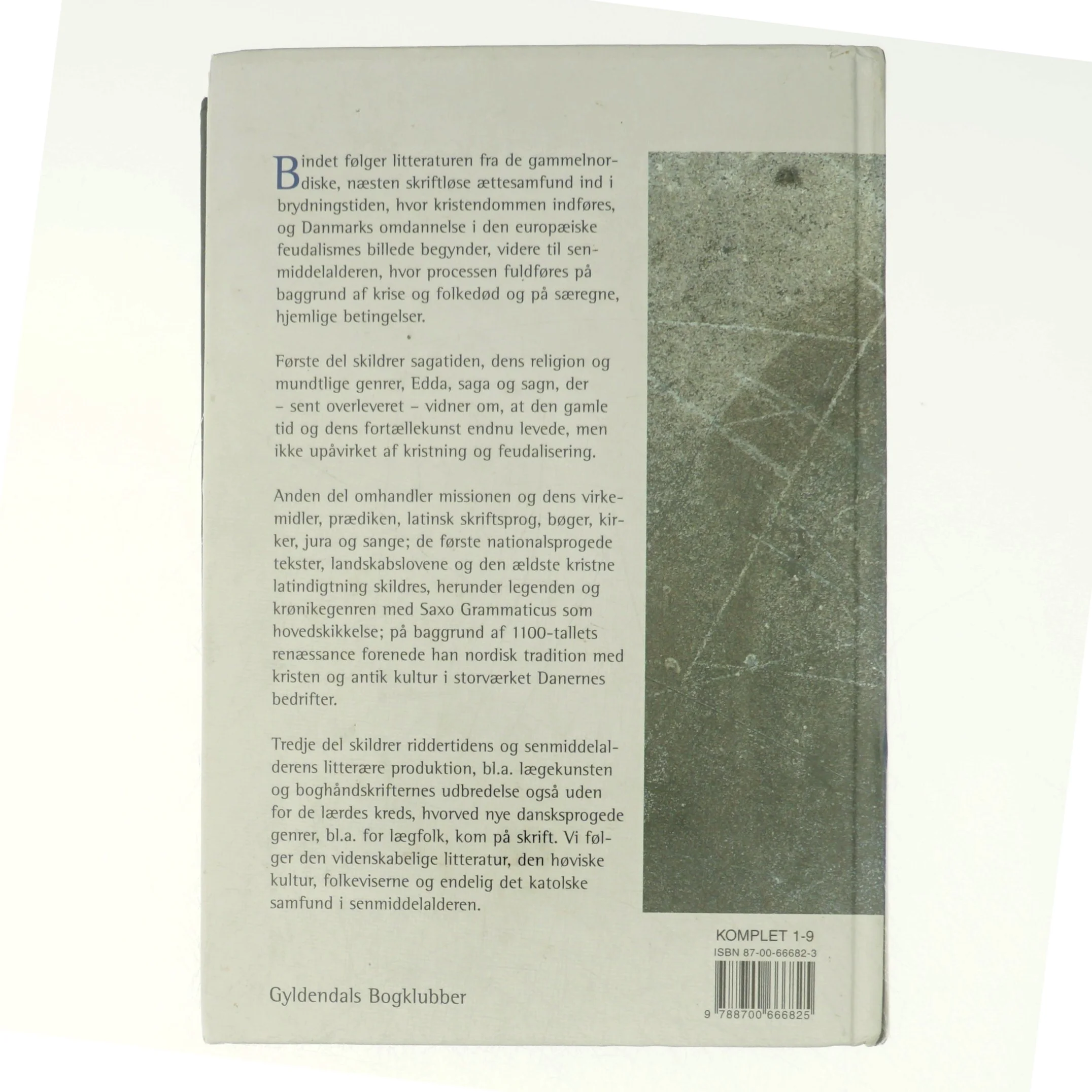 Dansk litteraturhistorie - Fra Runer til Ridderdigtning