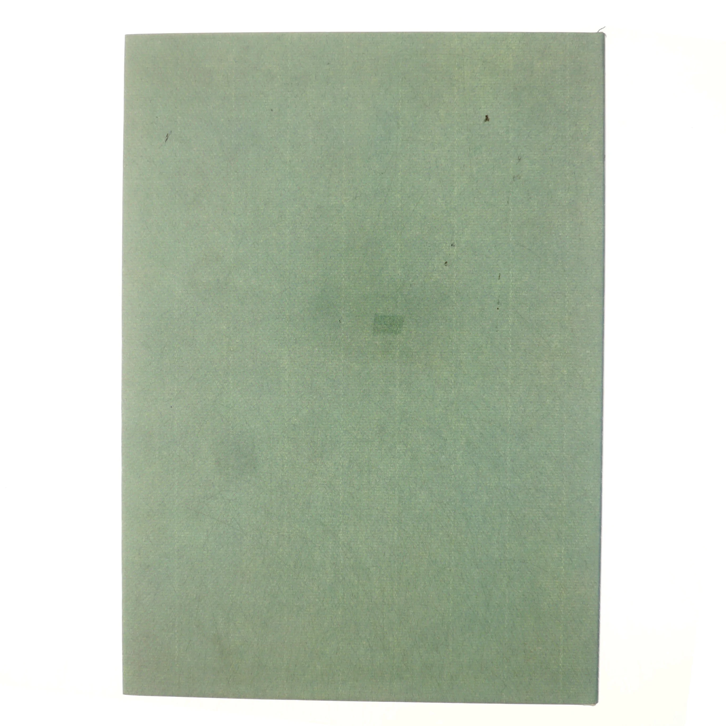 Det politiske portræt i Danmark