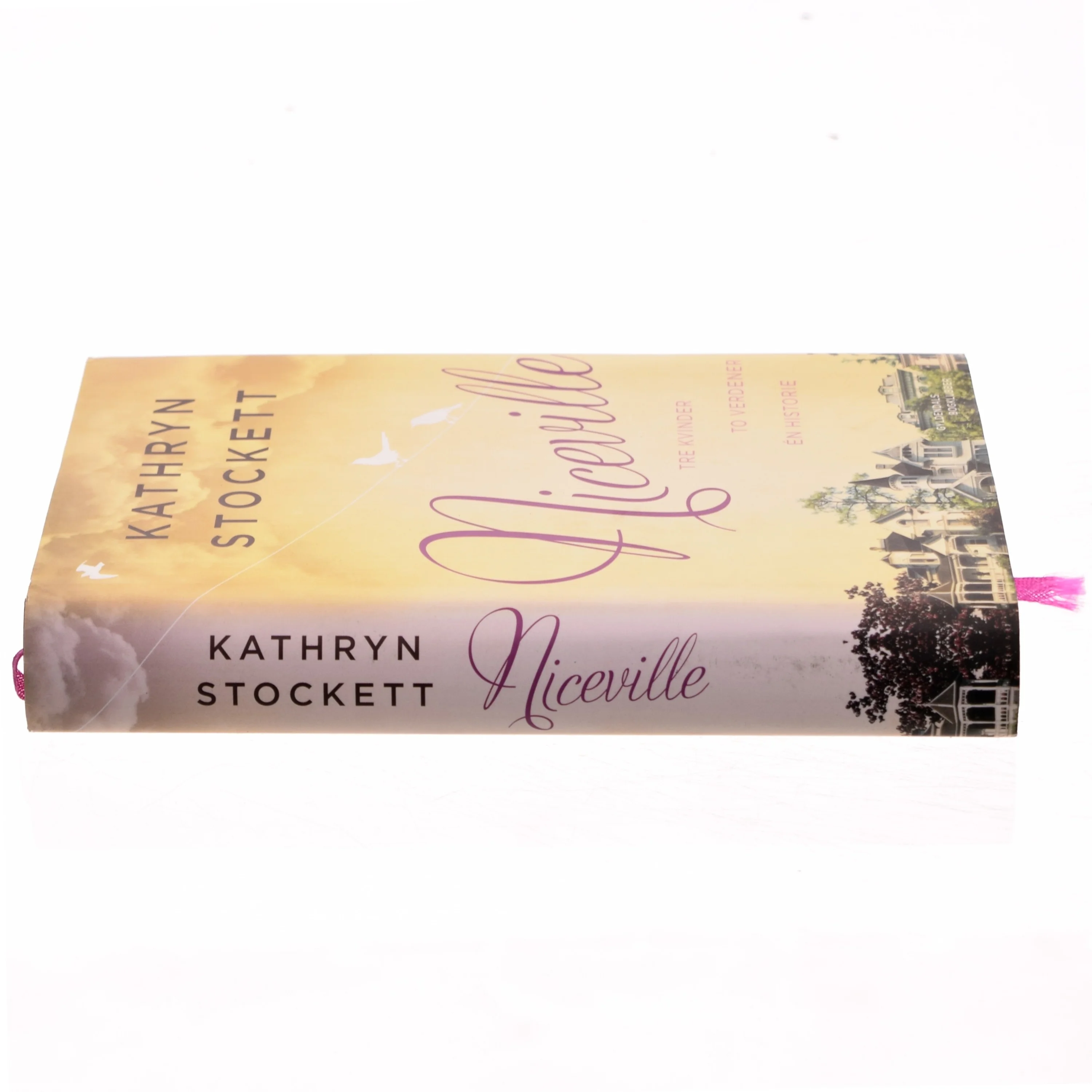Niceville af Kathryn Stockett (Bog)