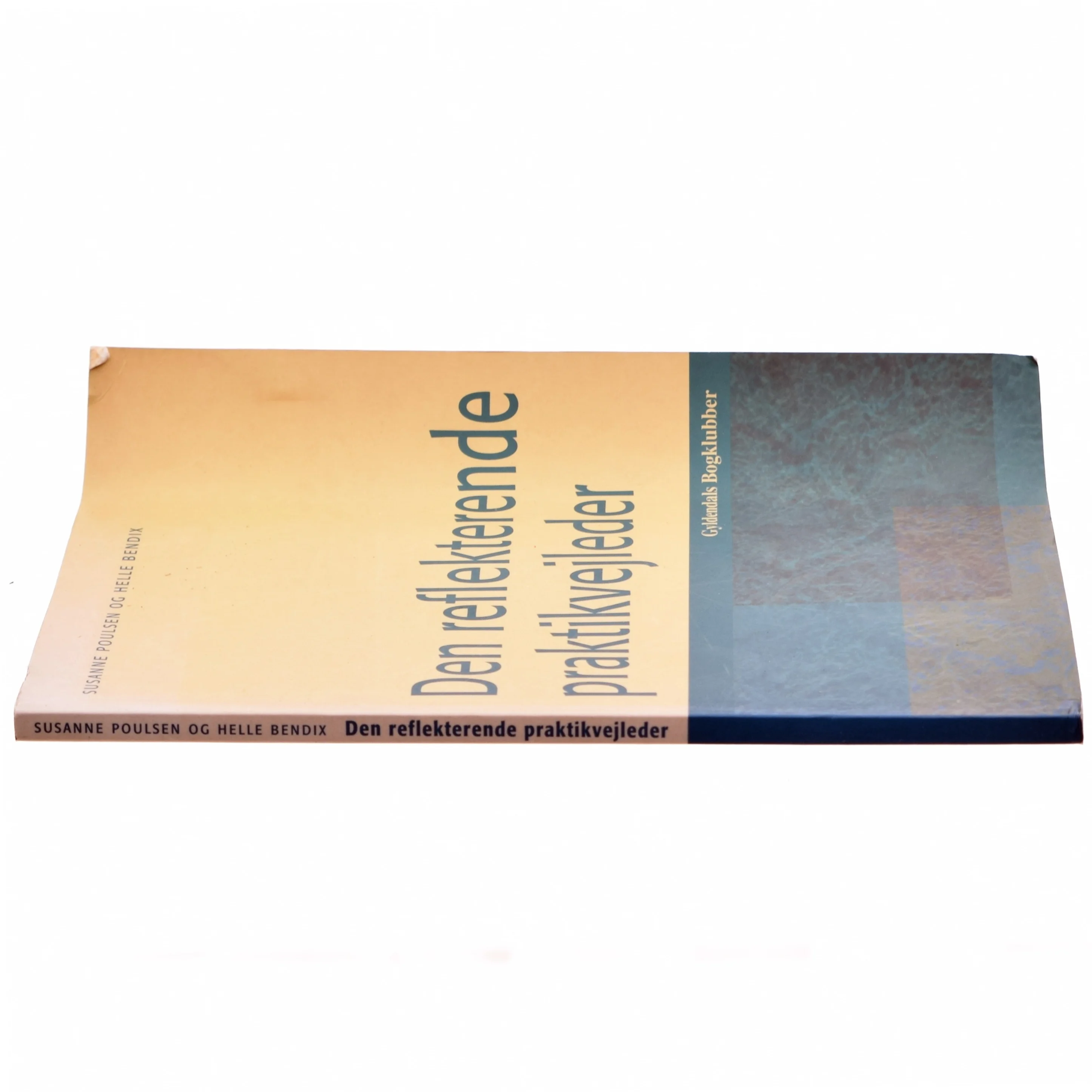 Den reflekterende praktikvejleder : praktik og praktikvejledning på pædagoguddannelsen (Bog)