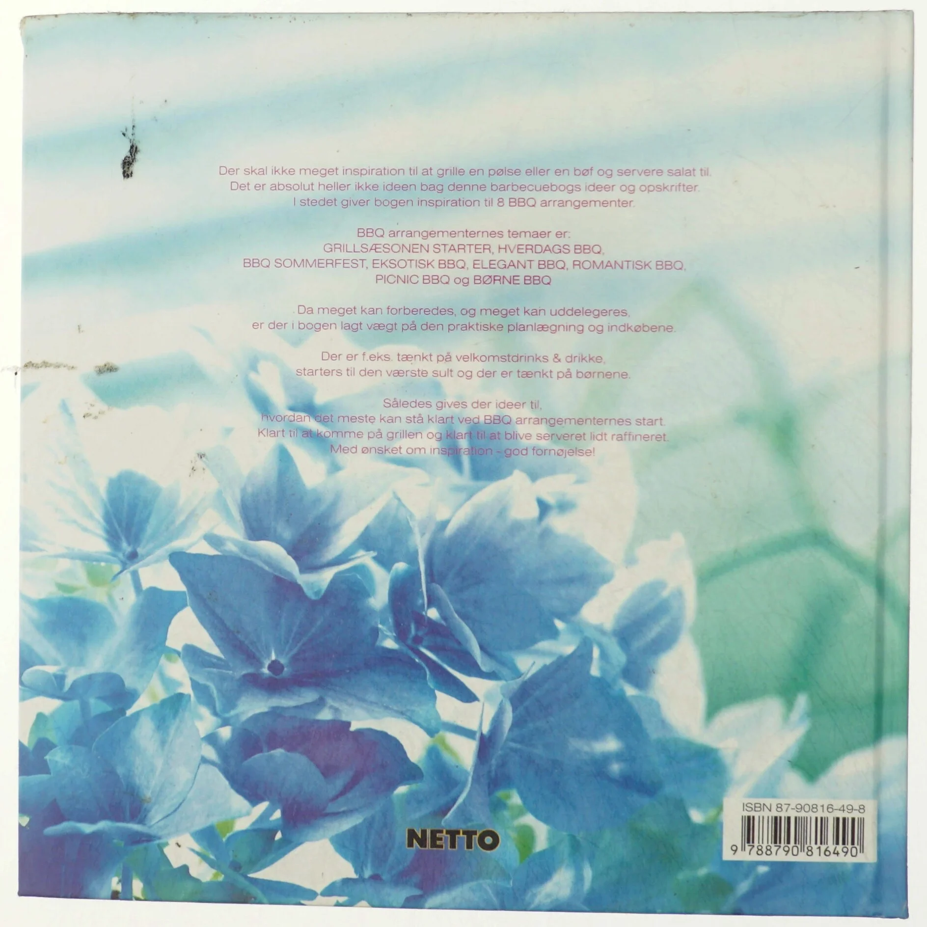 BBQ : vi griller sommeren (Bog)