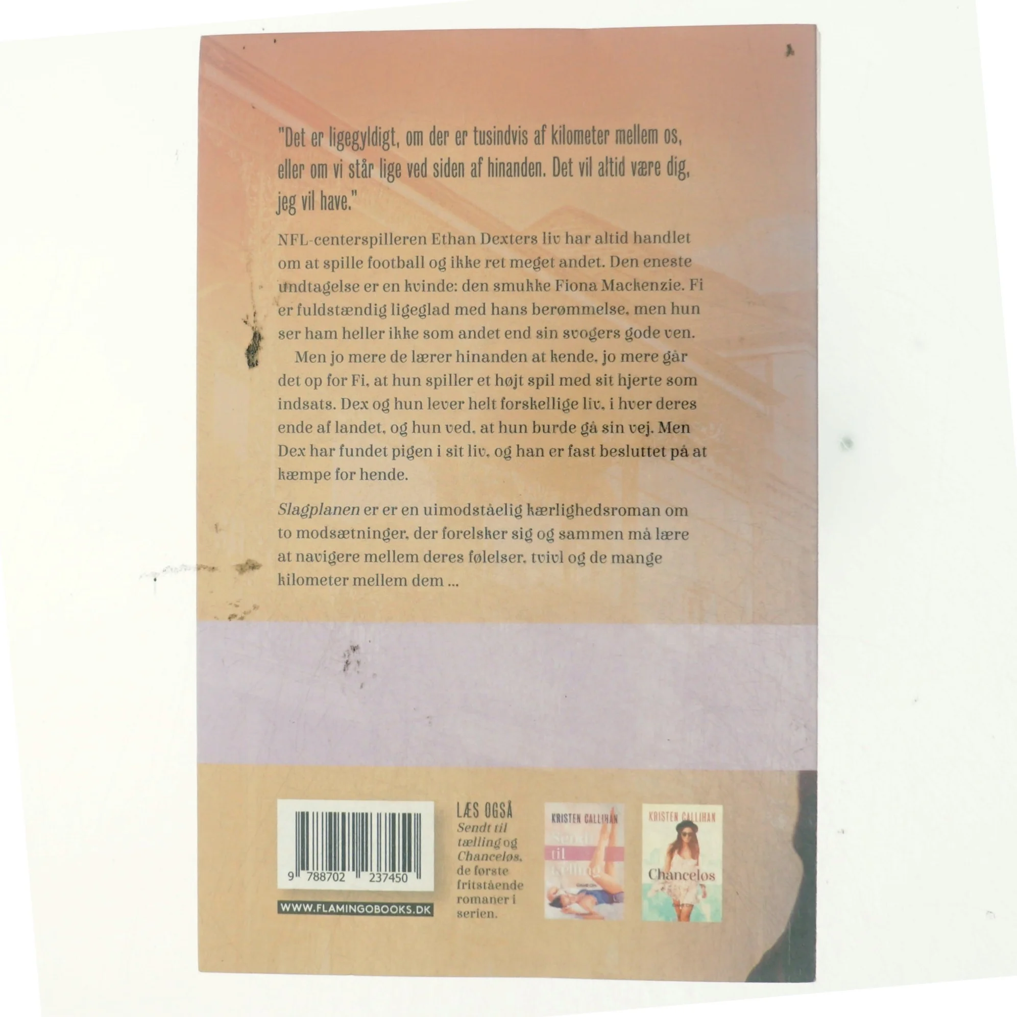 Slagplanen af Kristen Callihan (Bog)