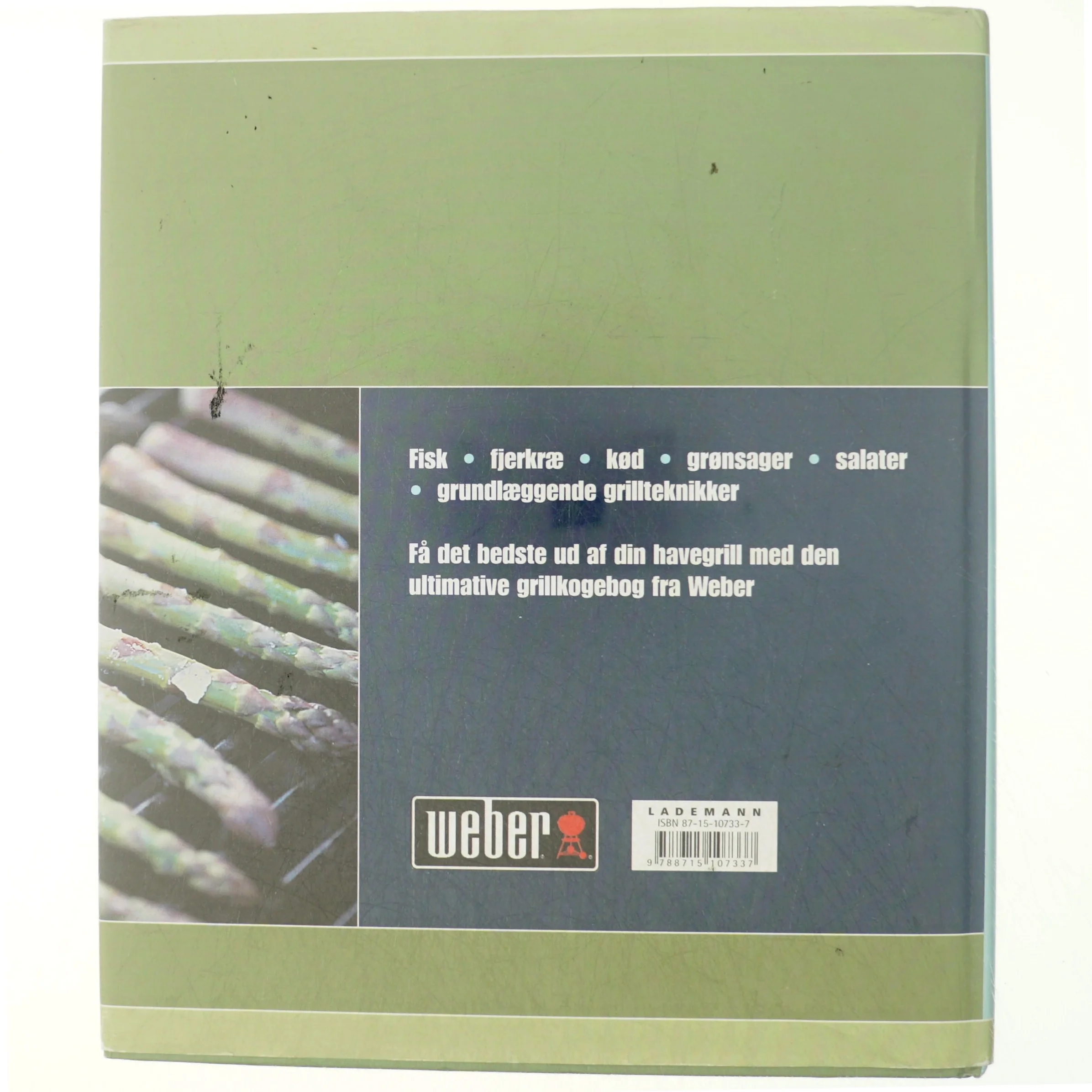 Webers nye grillkogebog : skøn grillmad med inspiration fra landene omkring Middelhavet af Matthew Drennan (Bog)